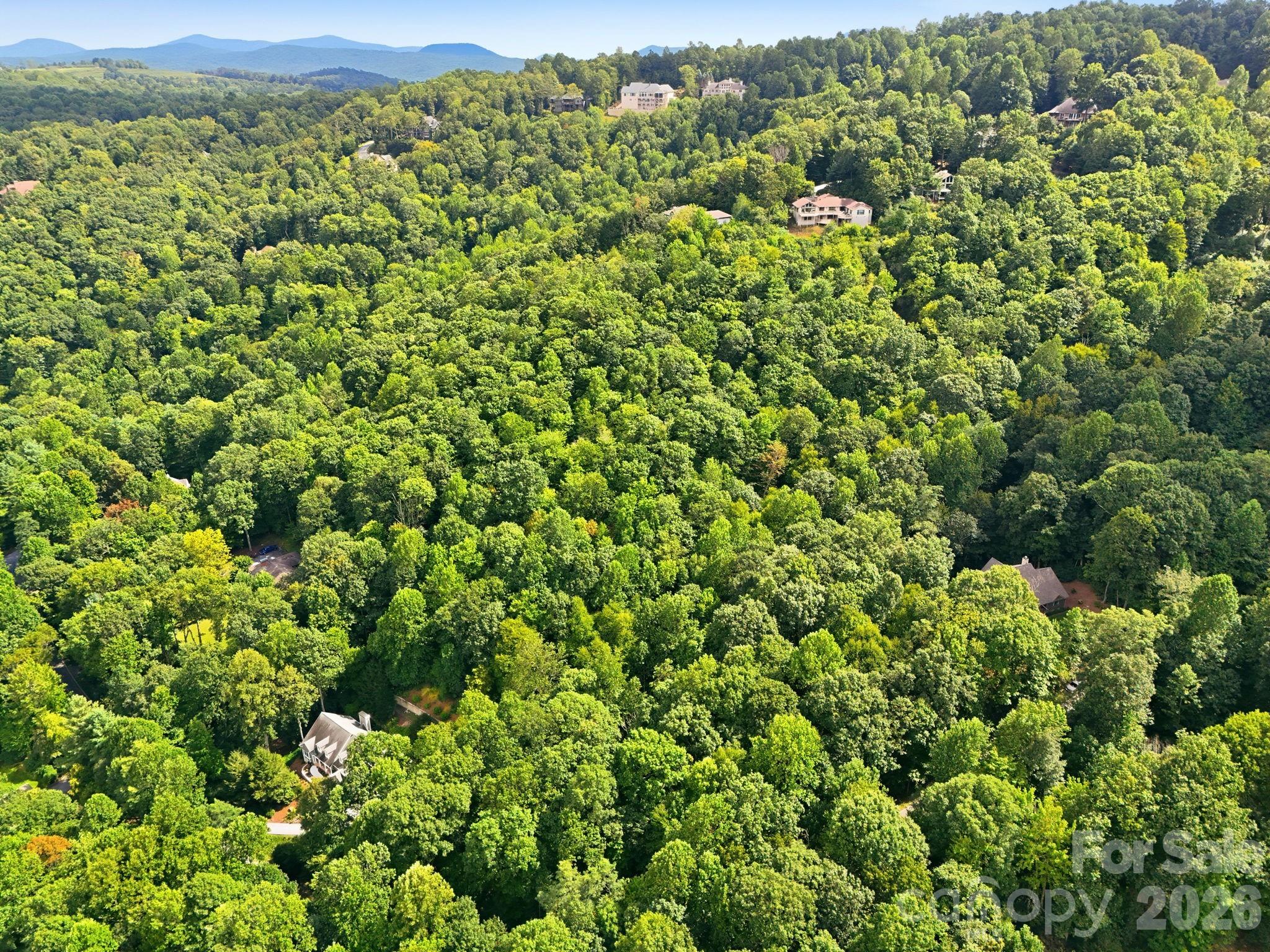 Lot at 315 Kenmure Drive, Flat Rock, photo 8 of 11