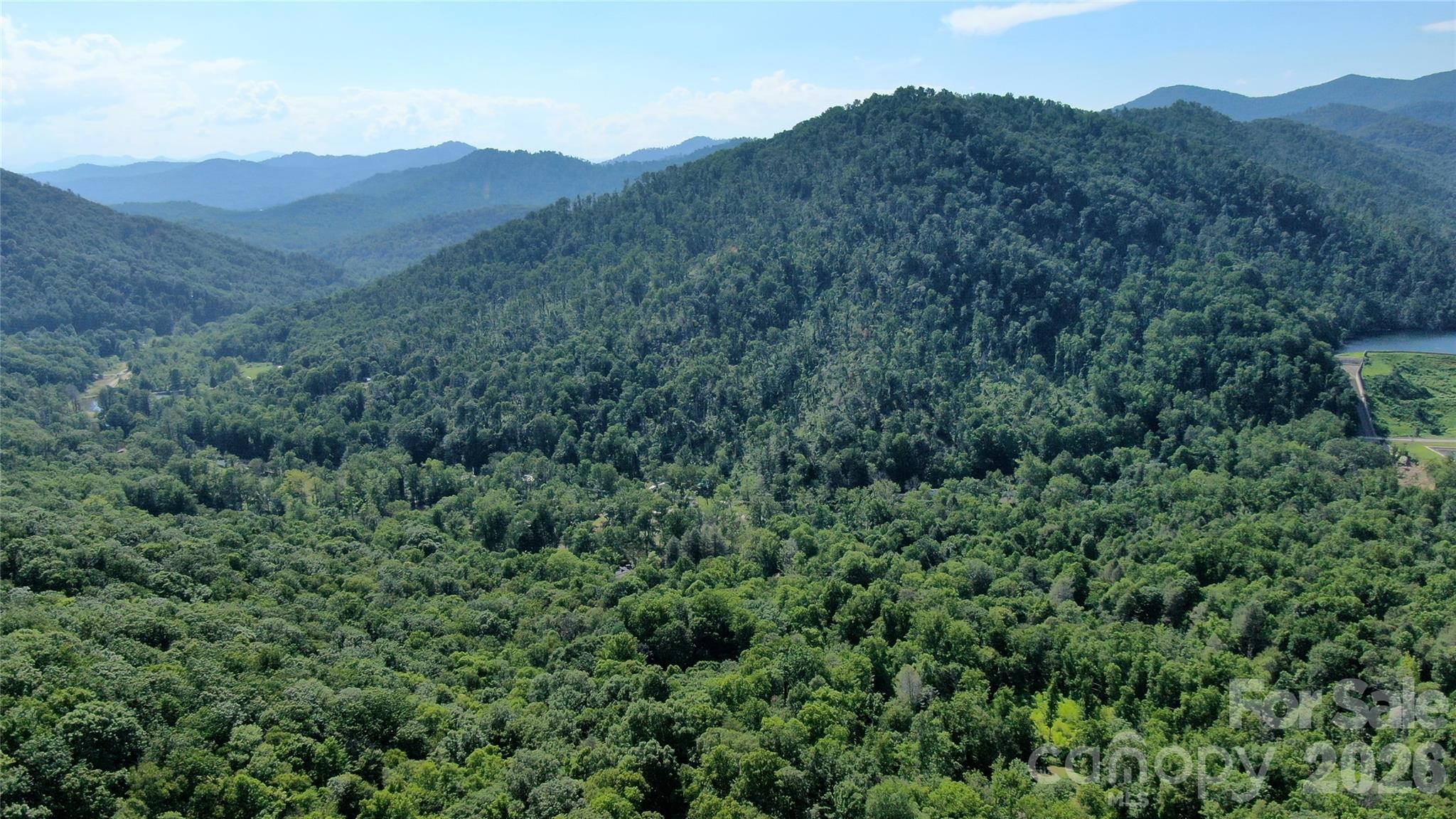 Blue Ridge Mountains surrounding Eagle Rock Cove. - 99999 Bee Tree Road, Swannanoa