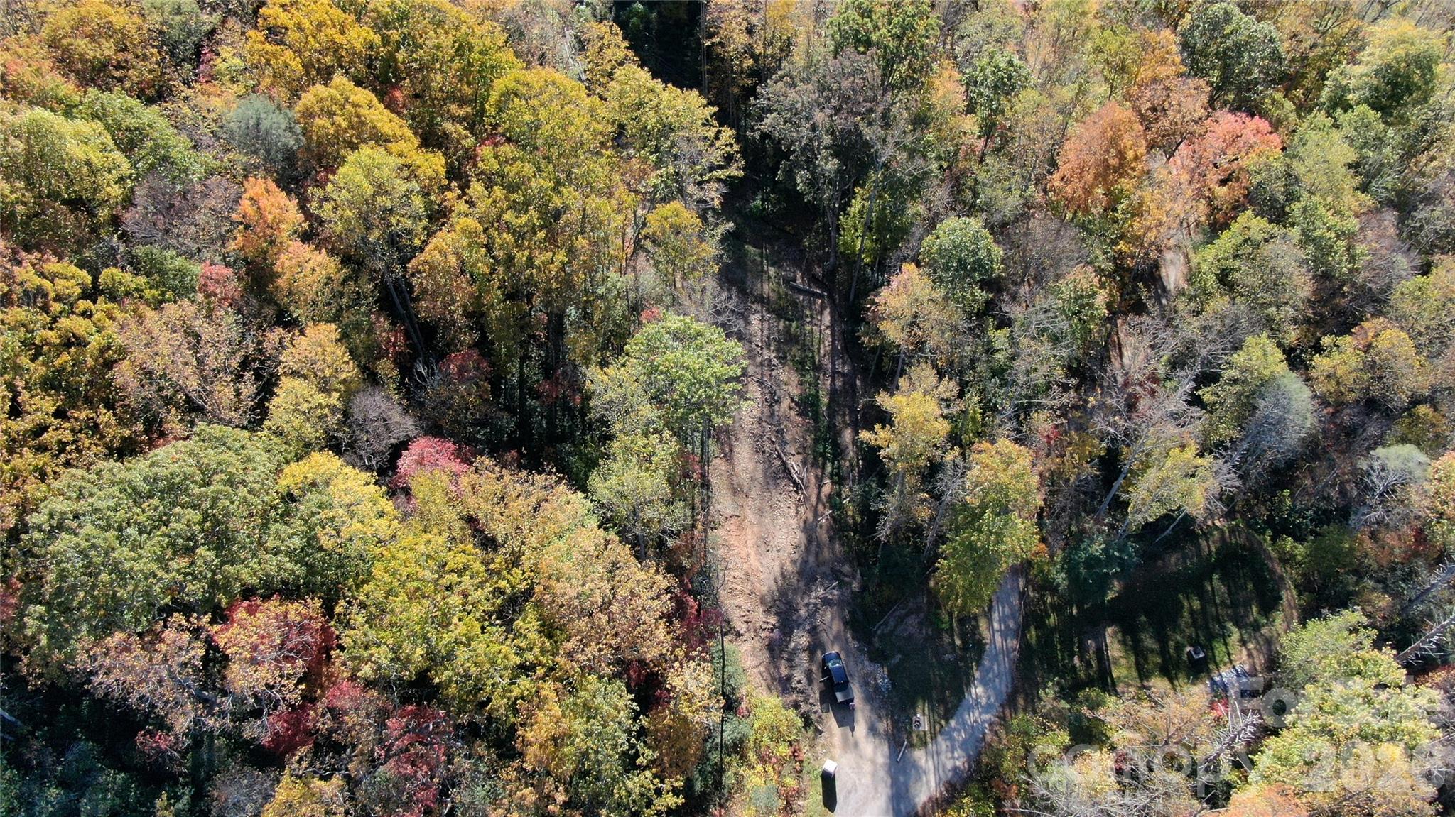 Colors, Colors everywhere! - 99999 Bee Tree Road, Swannanoa