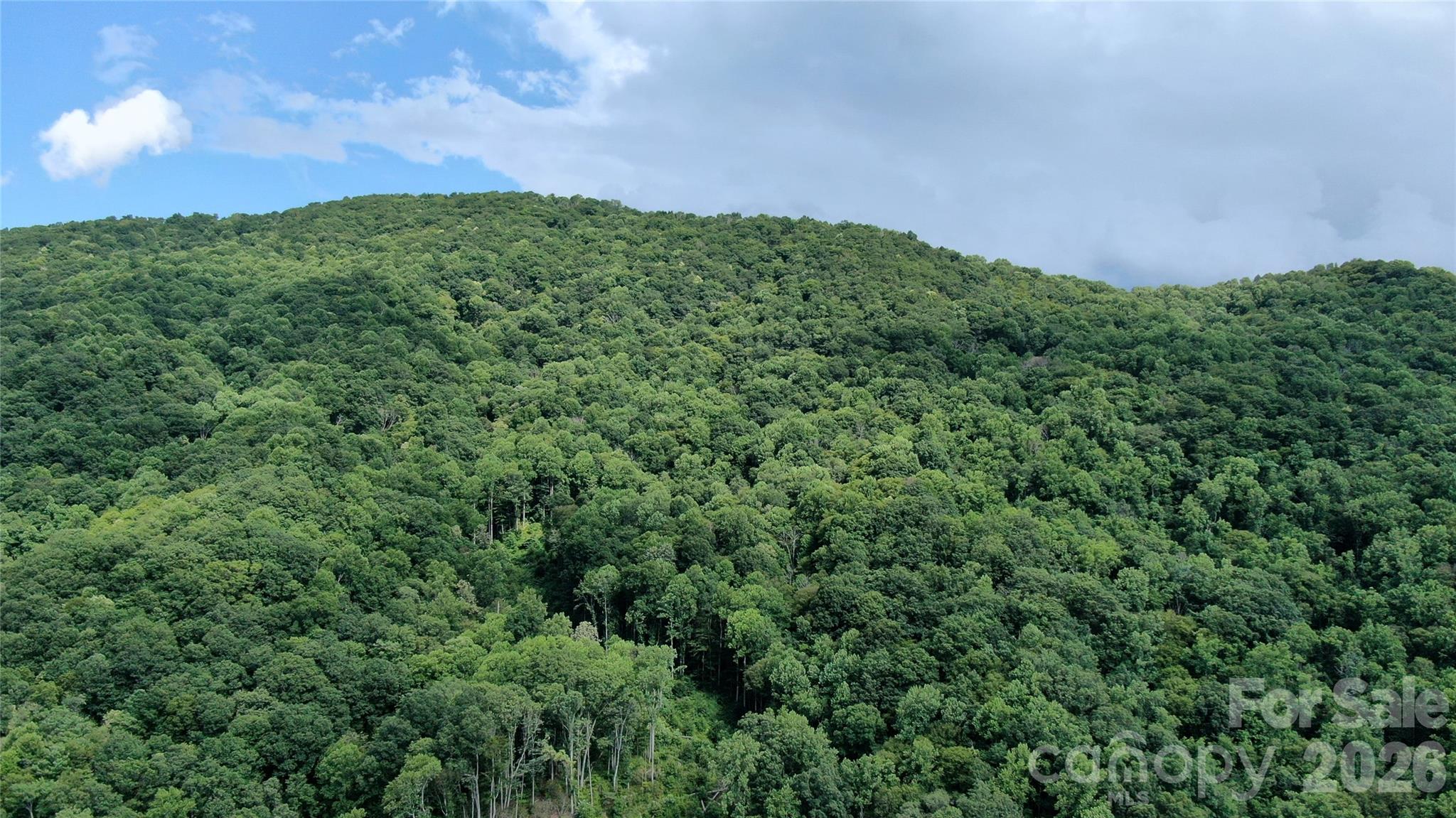 What a mountain that could be yours. - 99999 Bee Tree Road, Swannanoa