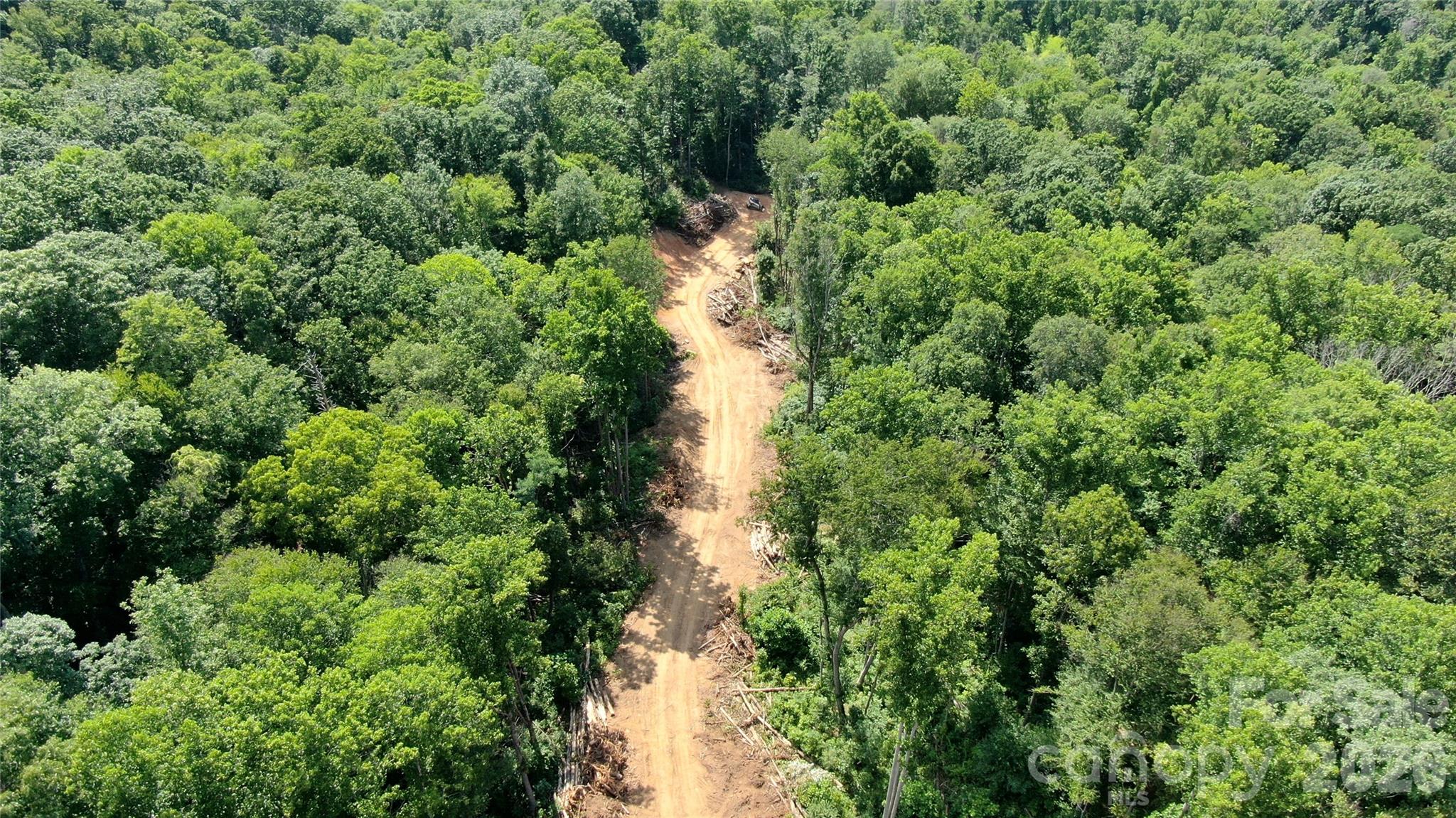 Road access to the individual lots. - 99999 Bee Tree Road, Swannanoa