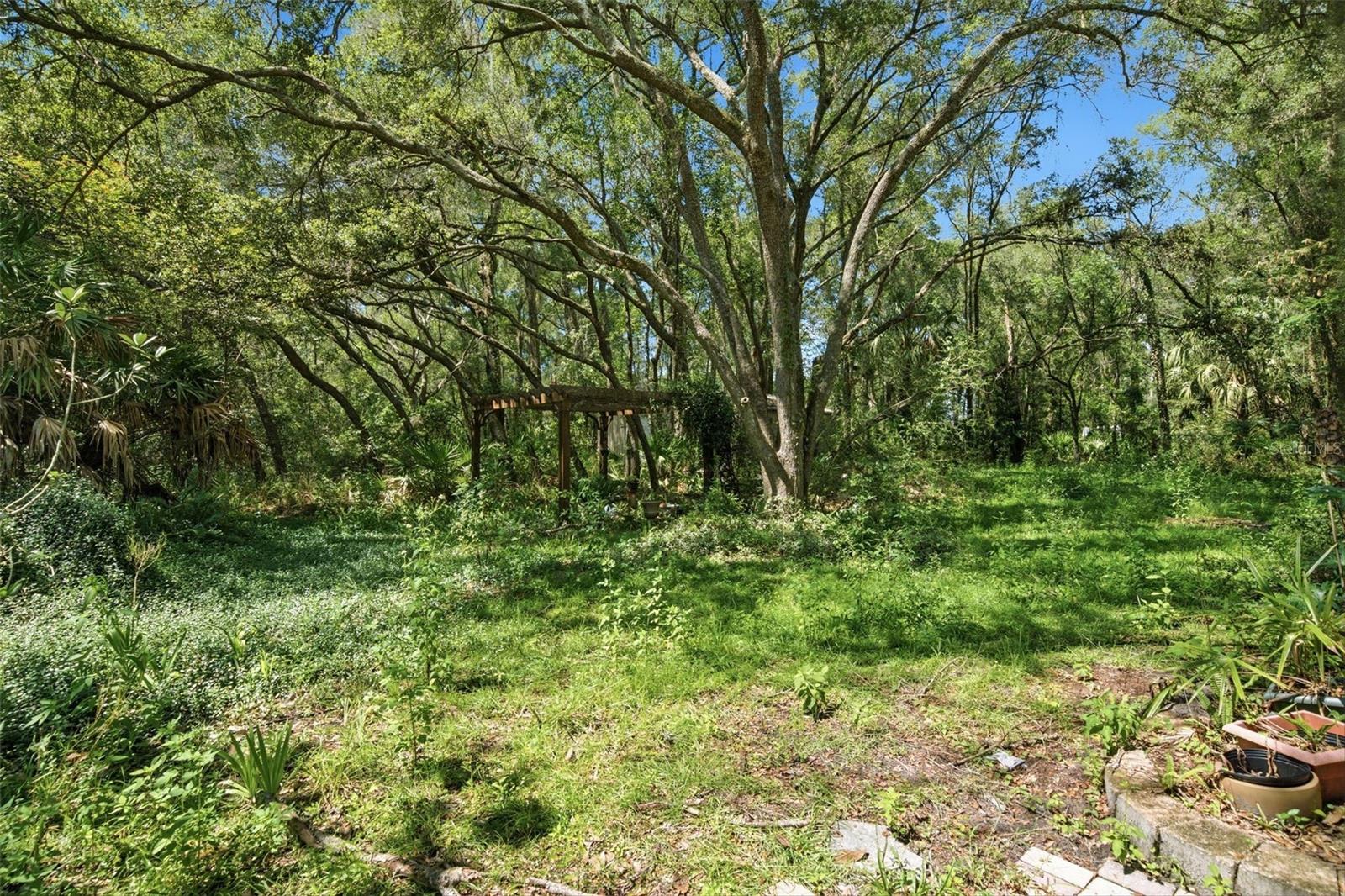 Manufactured Home at 6594 N GOLD LEAF PT, DUNNELLON, photo 49 of 61