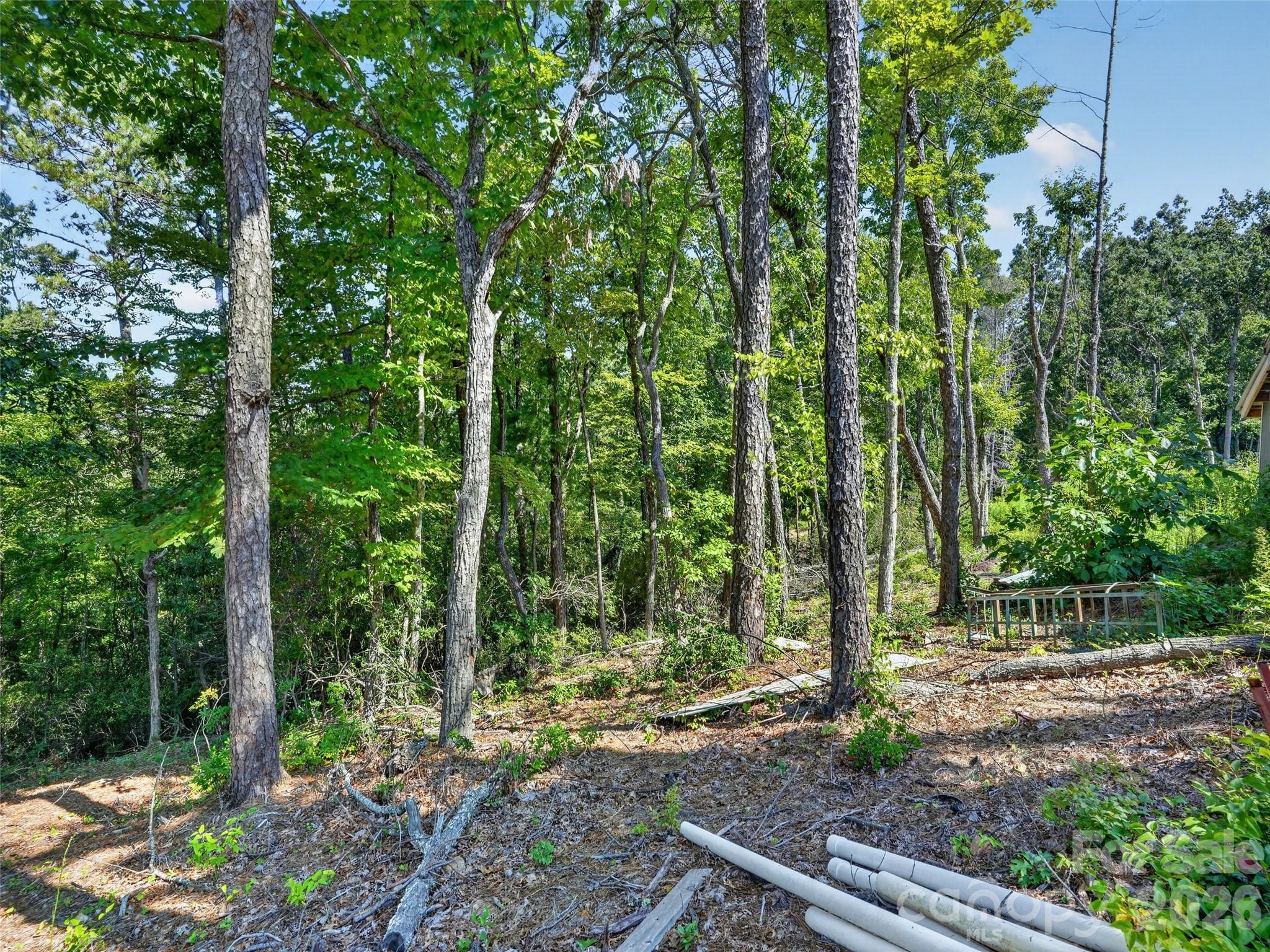 Lot at 00 Jacks Paw Lane, Hendersonville, photo 12 of 16
