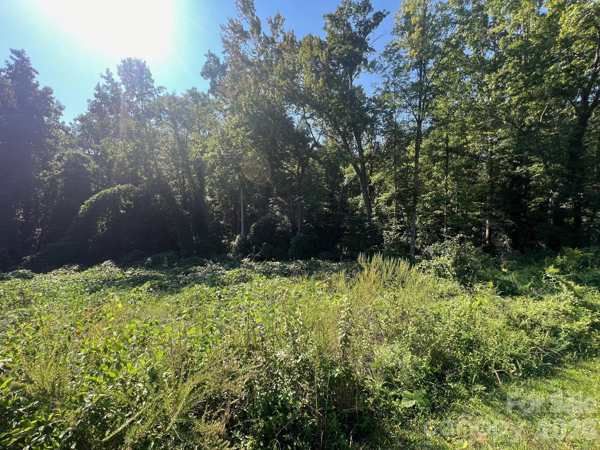 Acreage at 0 Jacumin Road, Valdese, photo 27 of 27