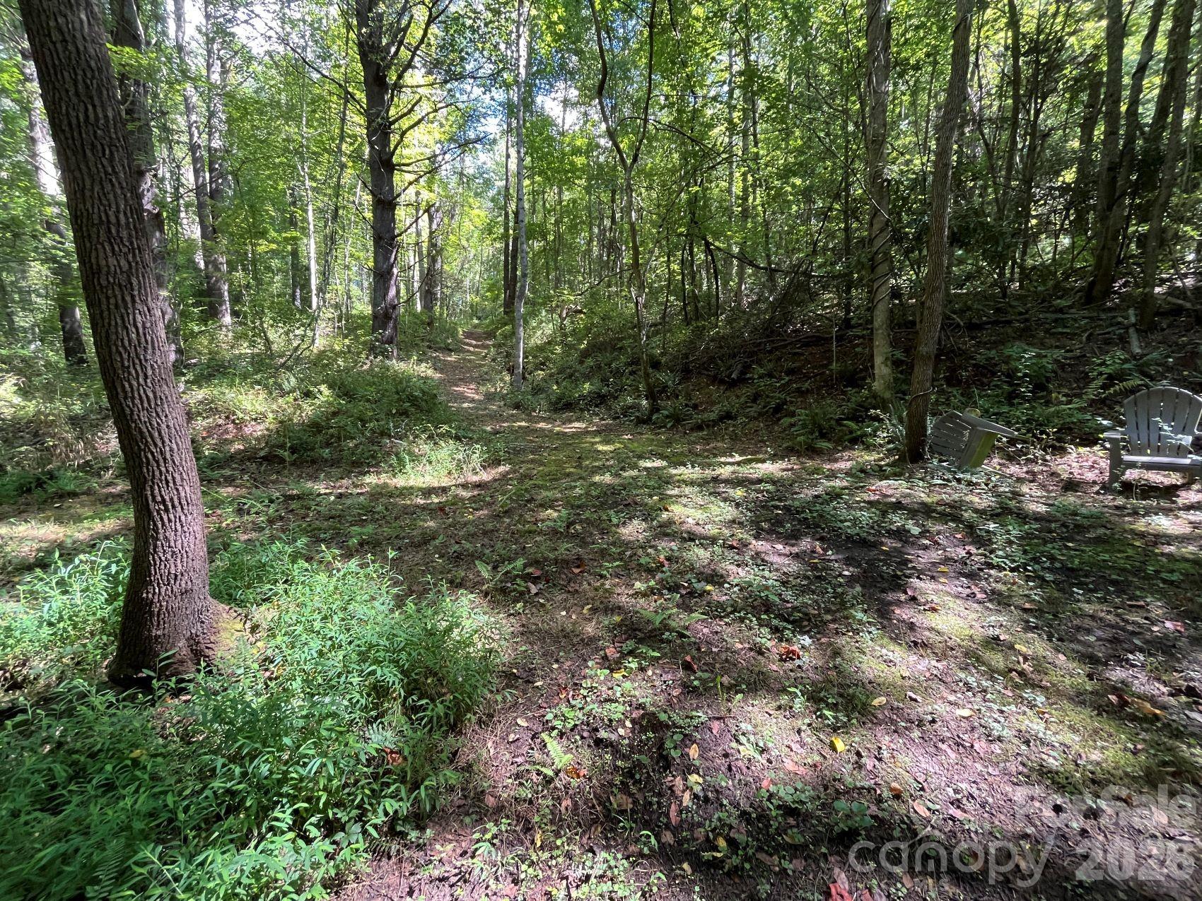 The wooded area has excellent topography - 132 Hurd Road, Canton