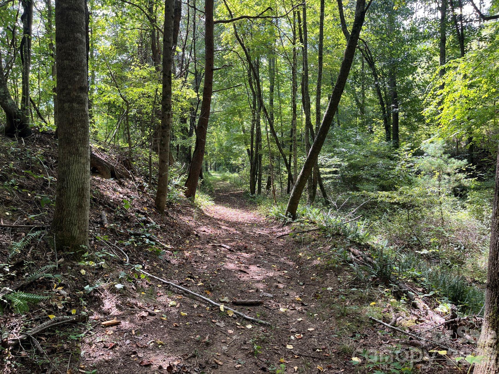 Excellent trails within the woods for ease of getting around - 132 Hurd Road, Canton