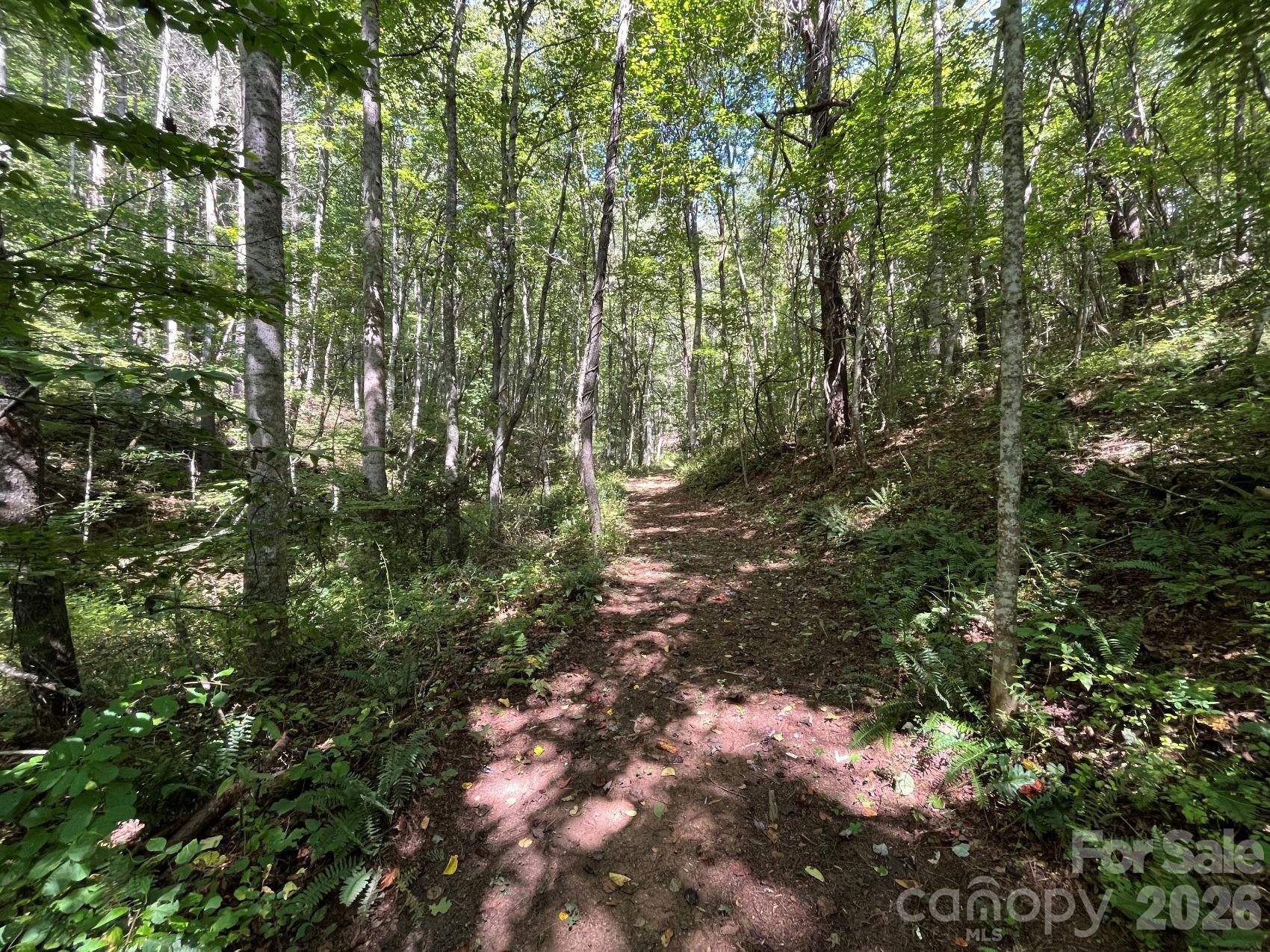 Some of excellent interior trails - 132 Hurd Road, Canton