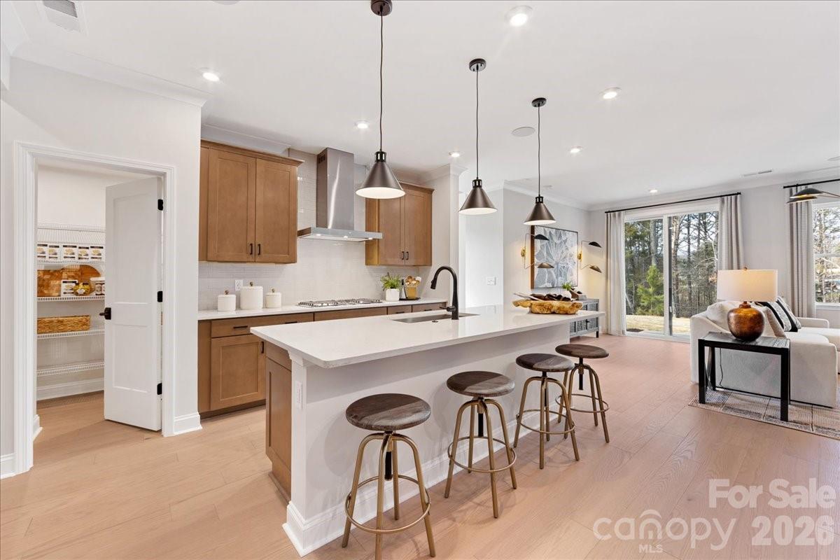 Conceptual - 229 Landy Street, Fort Mill