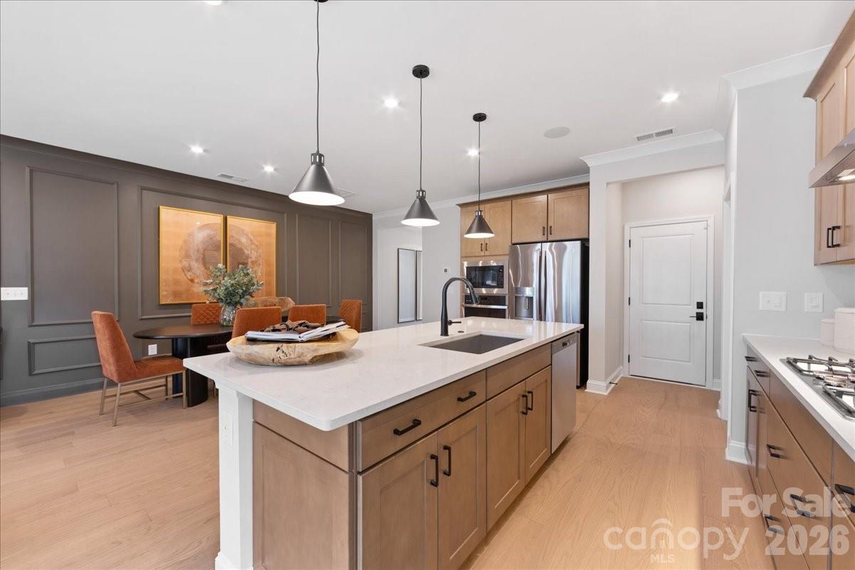 Conceptual - 229 Landy Street, Fort Mill