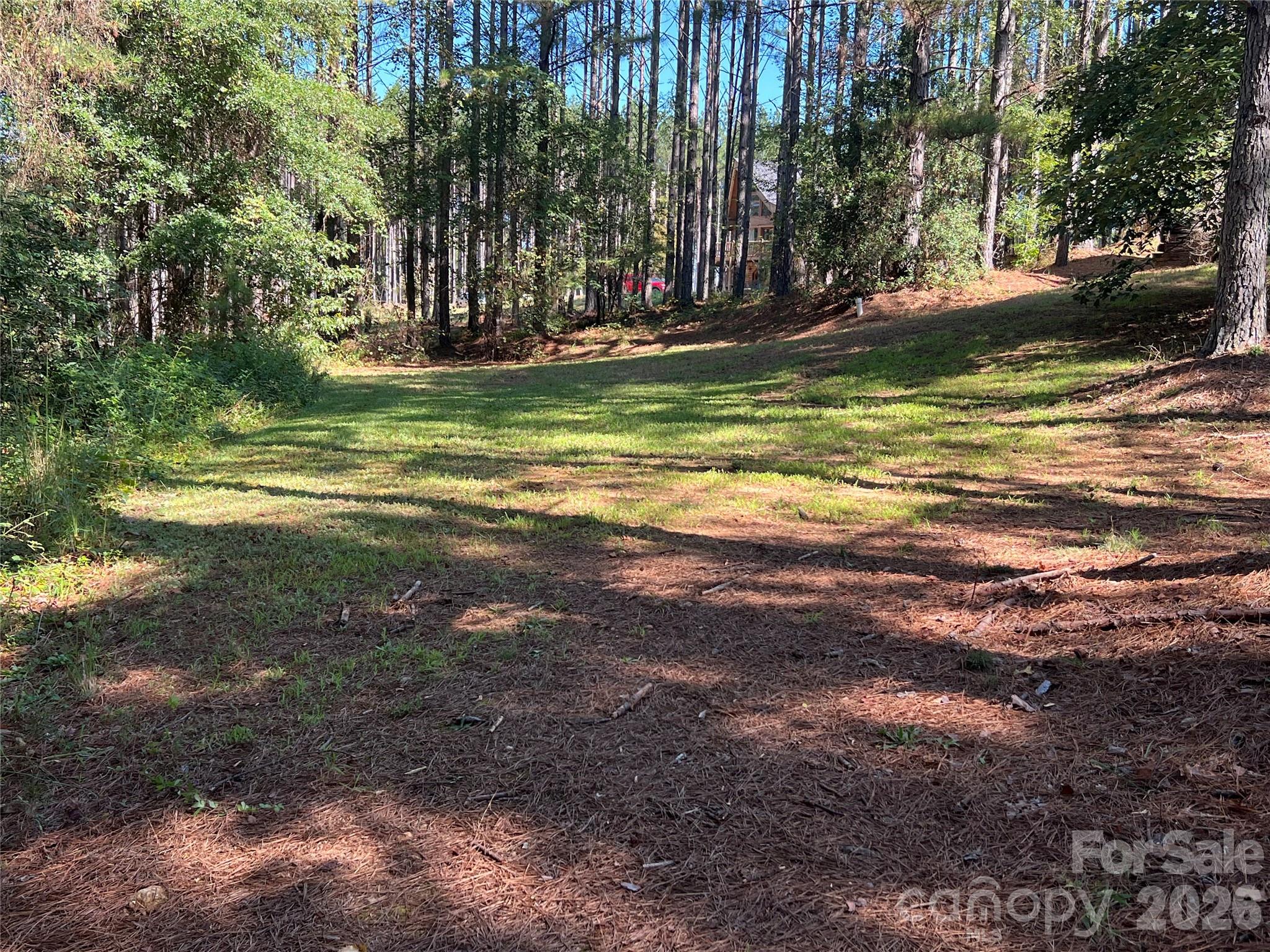 Single Family Residence at 651 Dills Road, Rutherfordton, photo 45 of 46