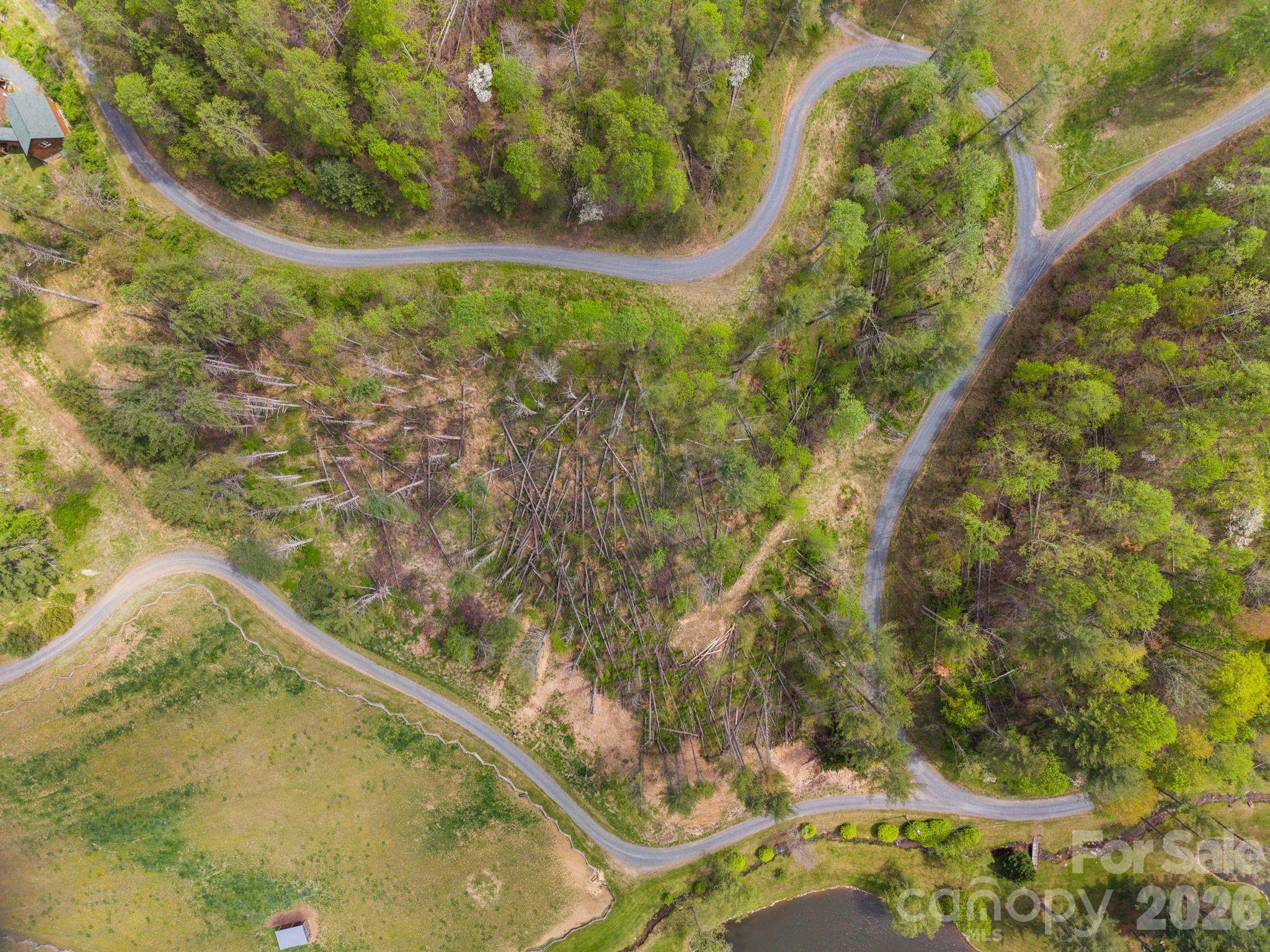 99999 White Pine Lane