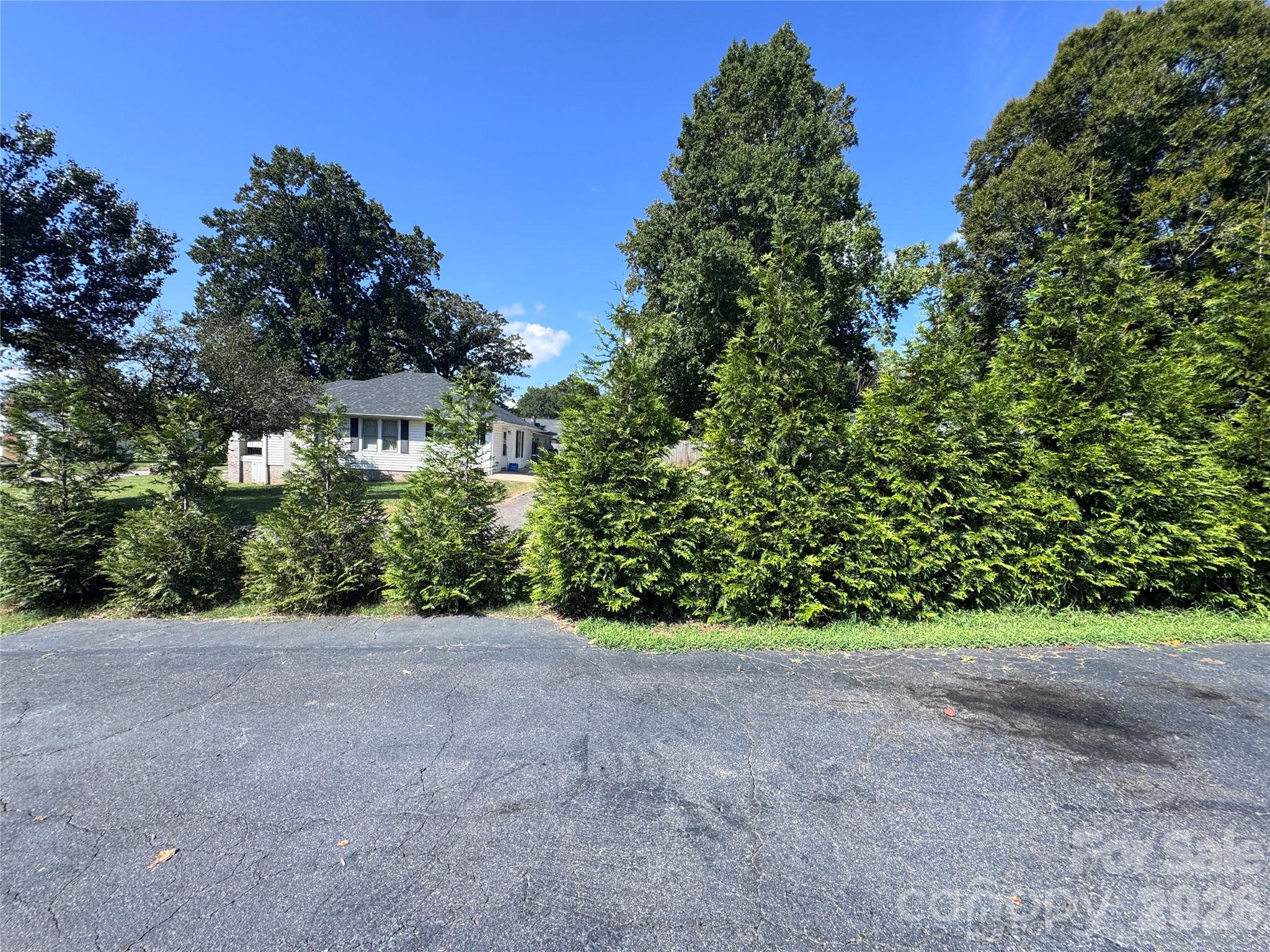 Driveway w/privacy hedge - 106 Myrtle Street, Morganton