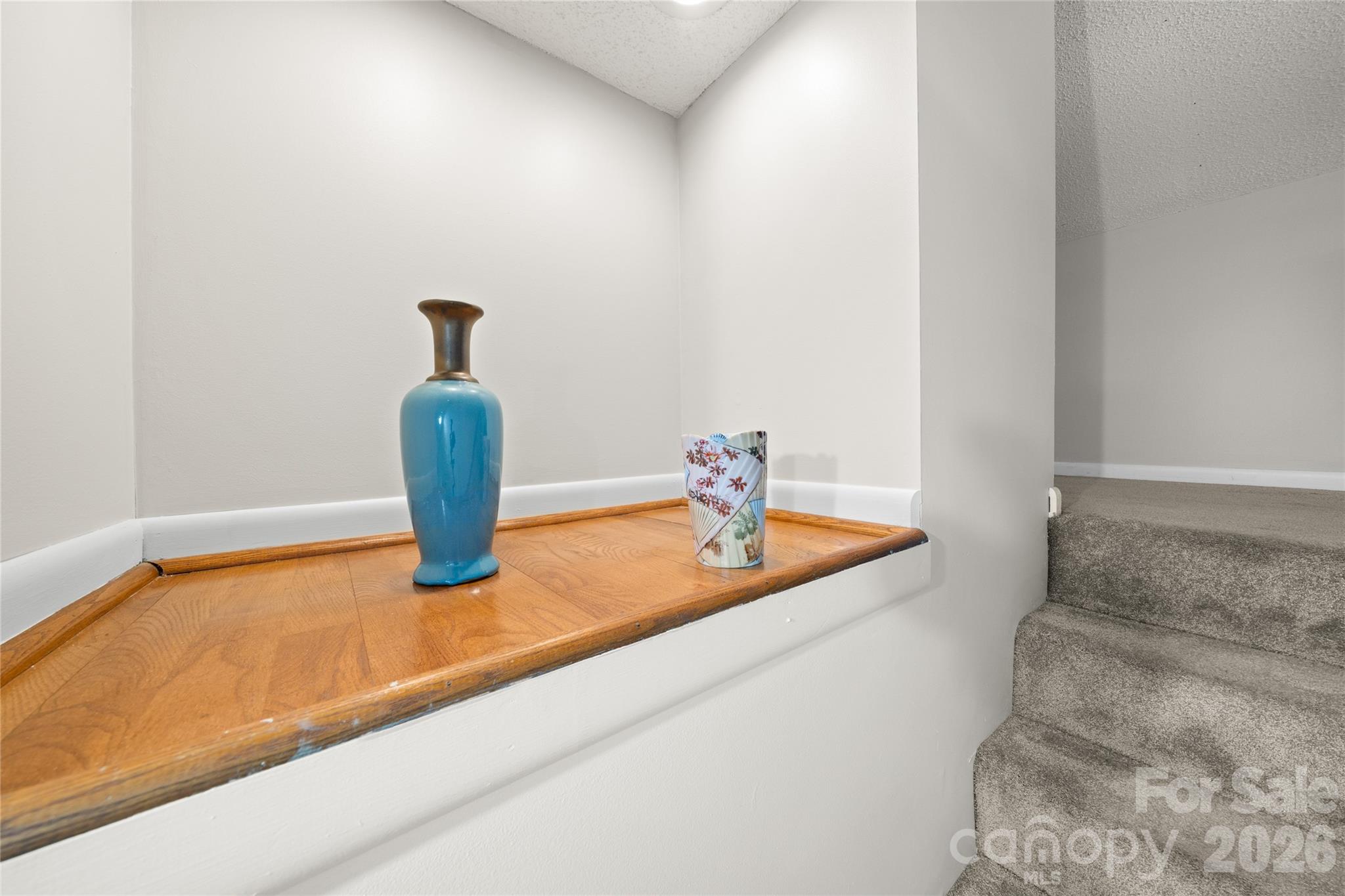 Steps with lighted alcove - 13 Browndale Road, Asheville
