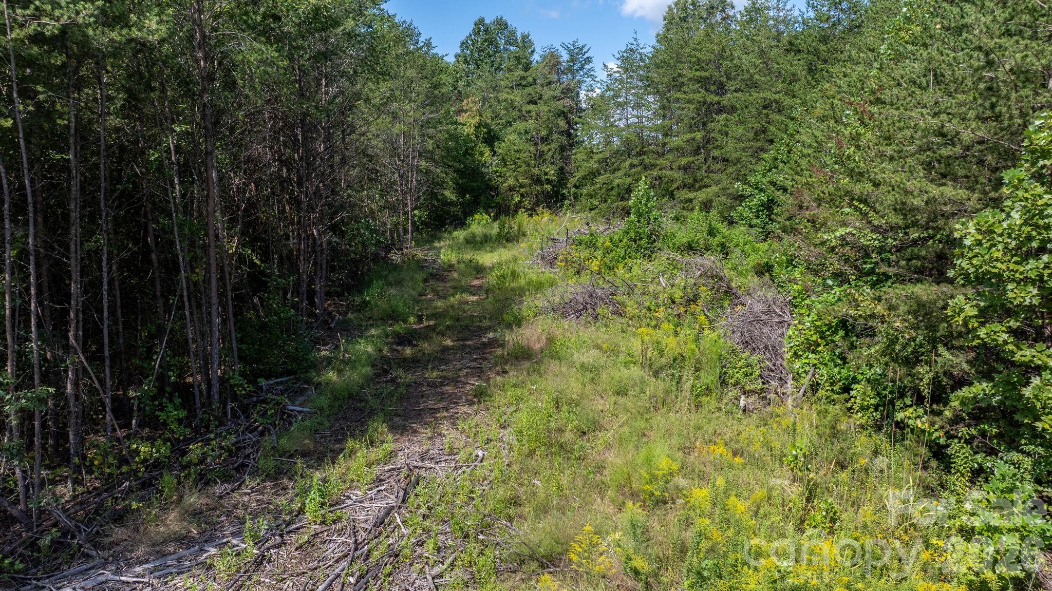 Acreage at 817 Drucilla Church Road, Nebo, photo 5 of 40