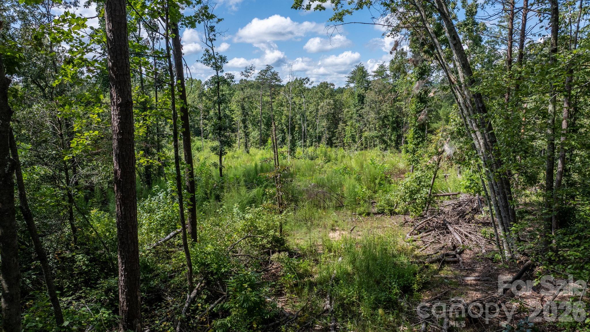 Acreage at 817 Drucilla Church Road, Nebo, photo 6 of 40
