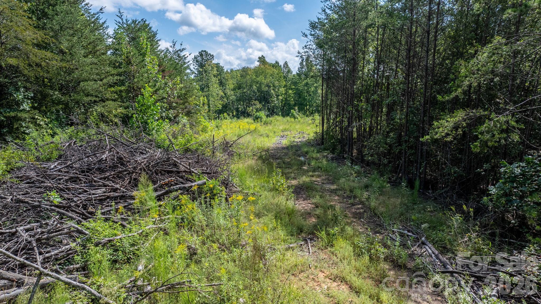Acreage at 817 Drucilla Church Road, Nebo, photo 8 of 40