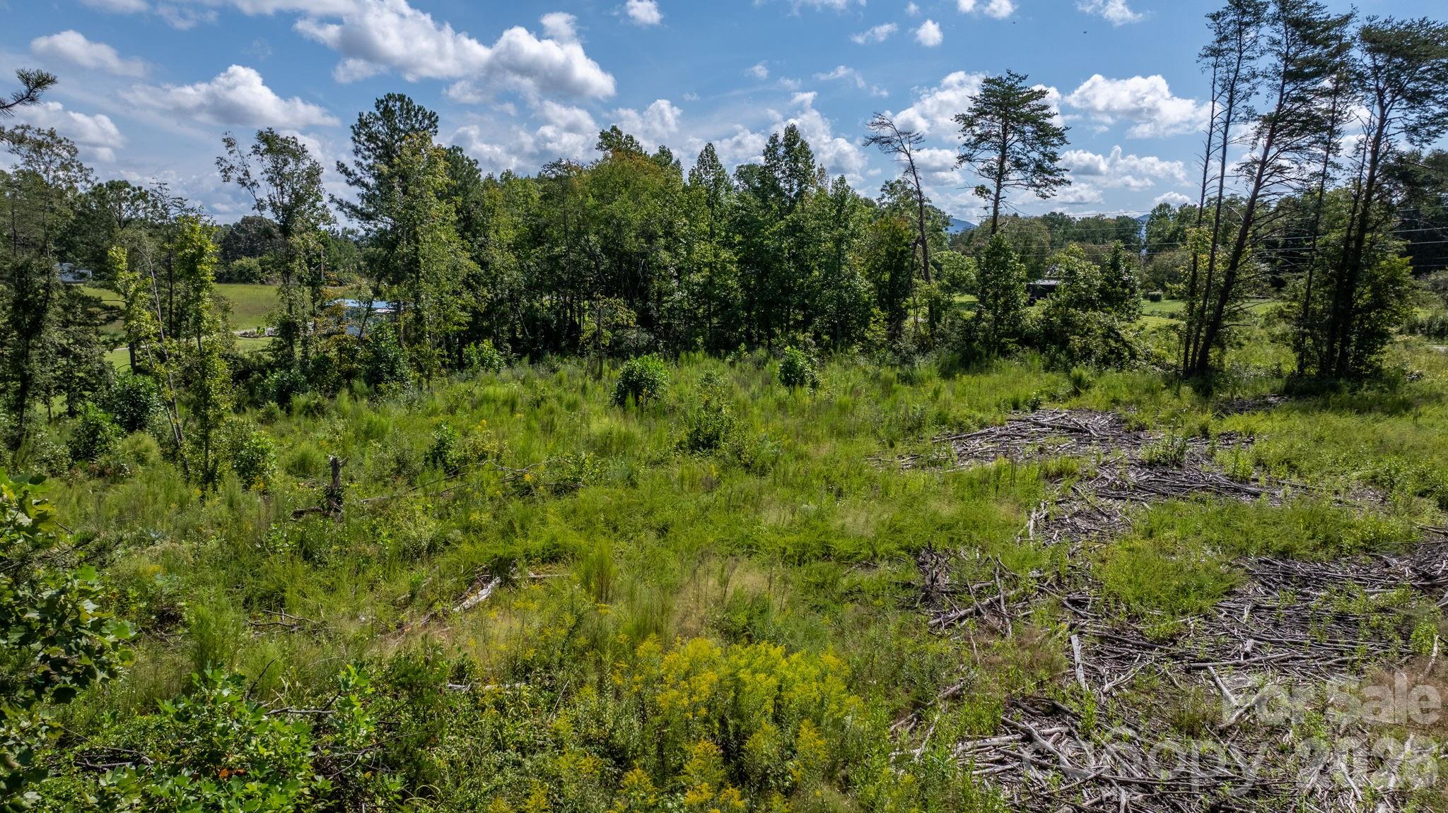 Acreage at 817 Drucilla Church Road, Nebo, photo 9 of 40