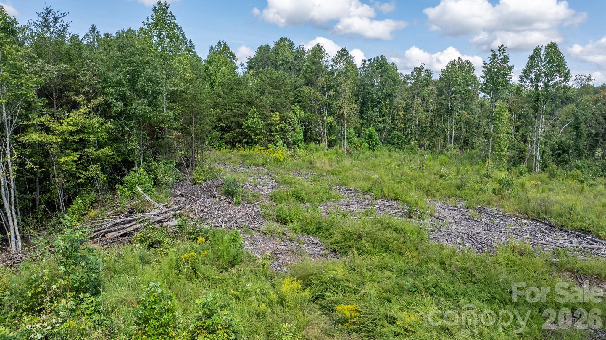 Acreage at 817 Drucilla Church Road, Nebo, photo 40 of 40