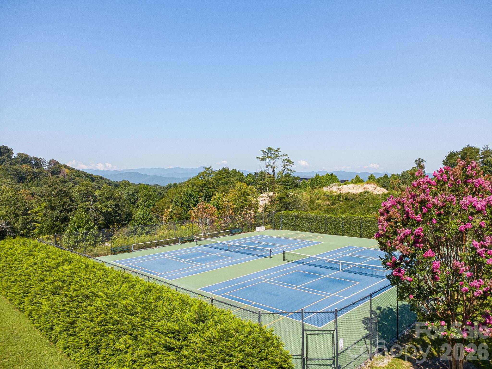 Let's don't forget the tennis and pickleball courts. - 212 Carriage Springs Way, Hendersonville