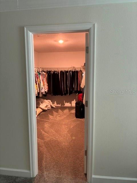 master walk in closet - 2572 CAMDEN PARK CIR, DAVENPORT