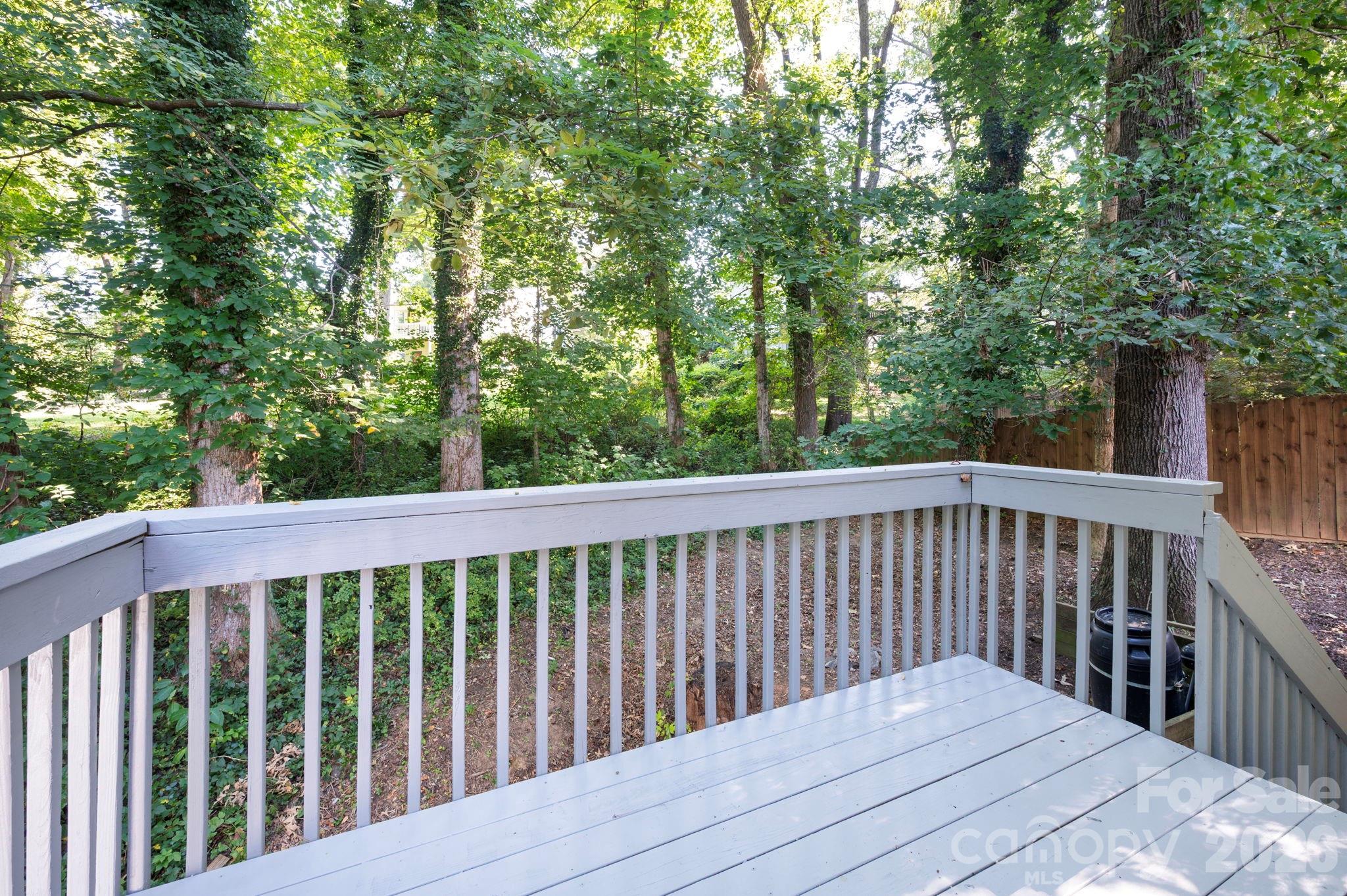 Back deck - 47 Wilmington Street, Asheville