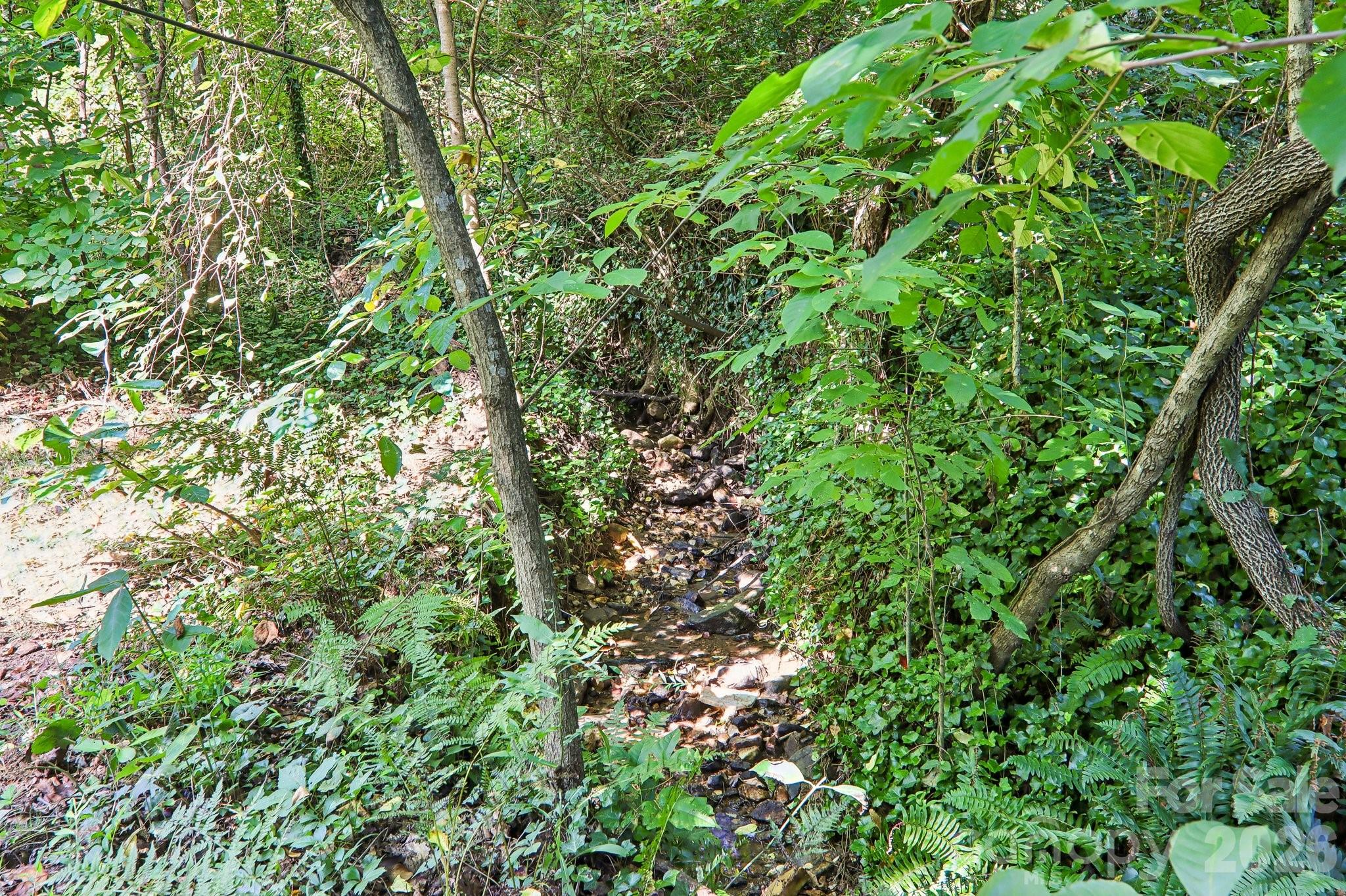 small creek on the property! - 333 Kenilworth Road, Asheville