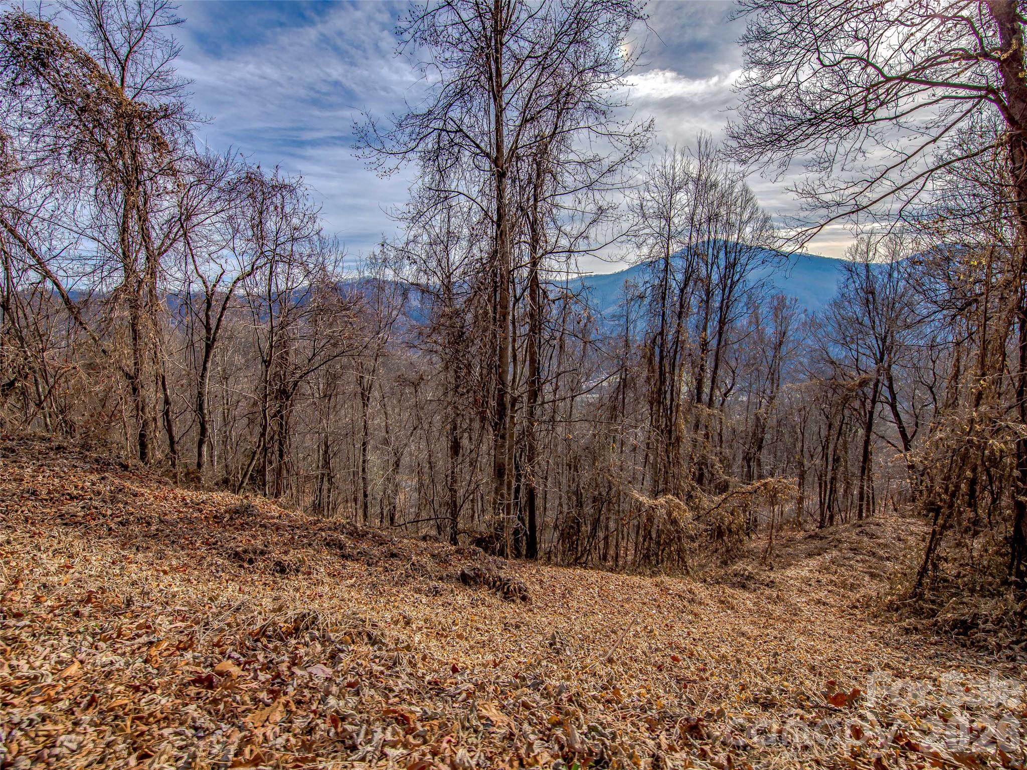 Lot at 39 Grandview Cliff Heights, Maggie Valley, photo 6 of 9