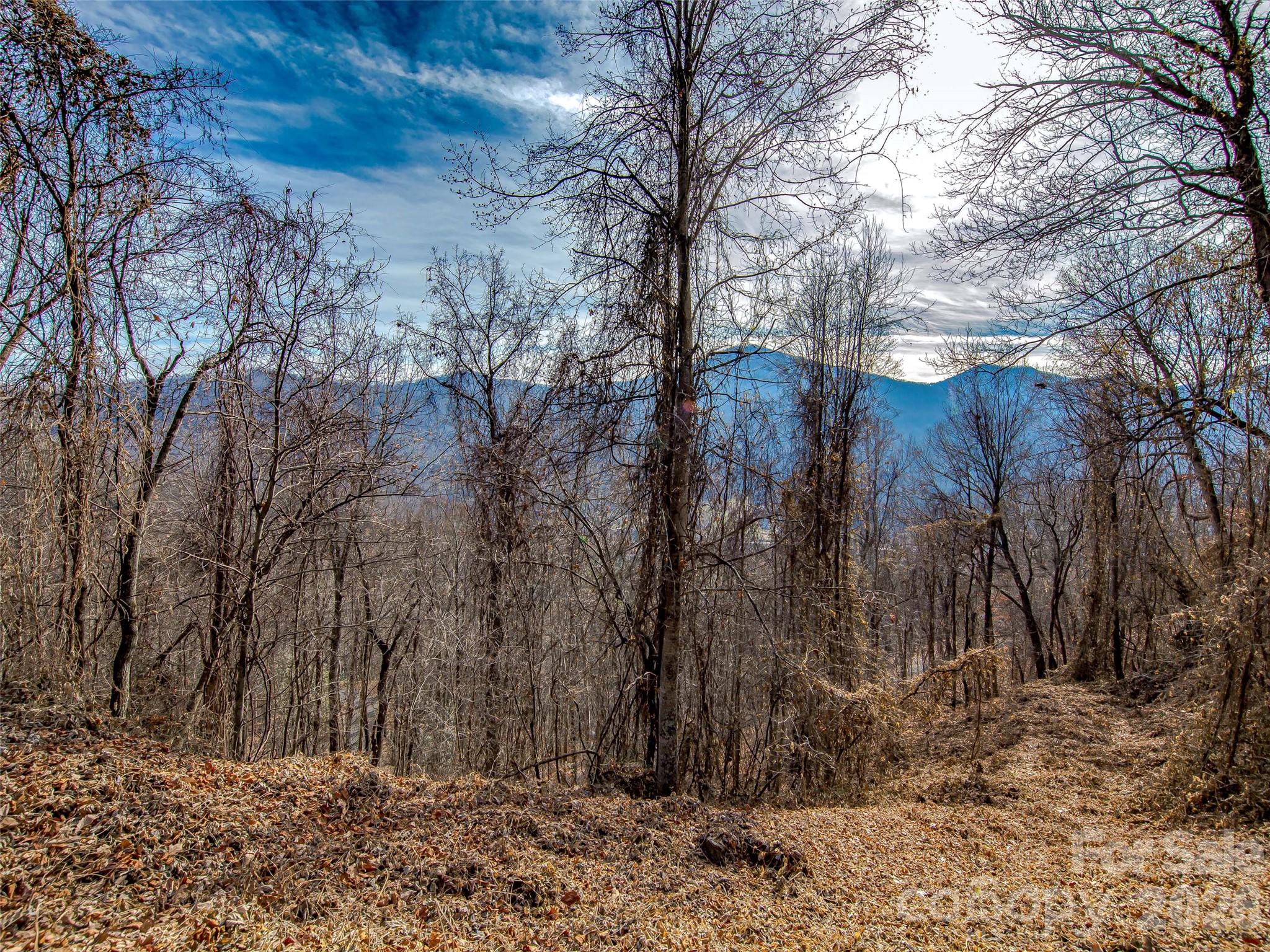 Lot at 39 Grandview Cliff Heights, Maggie Valley, photo 4 of 9