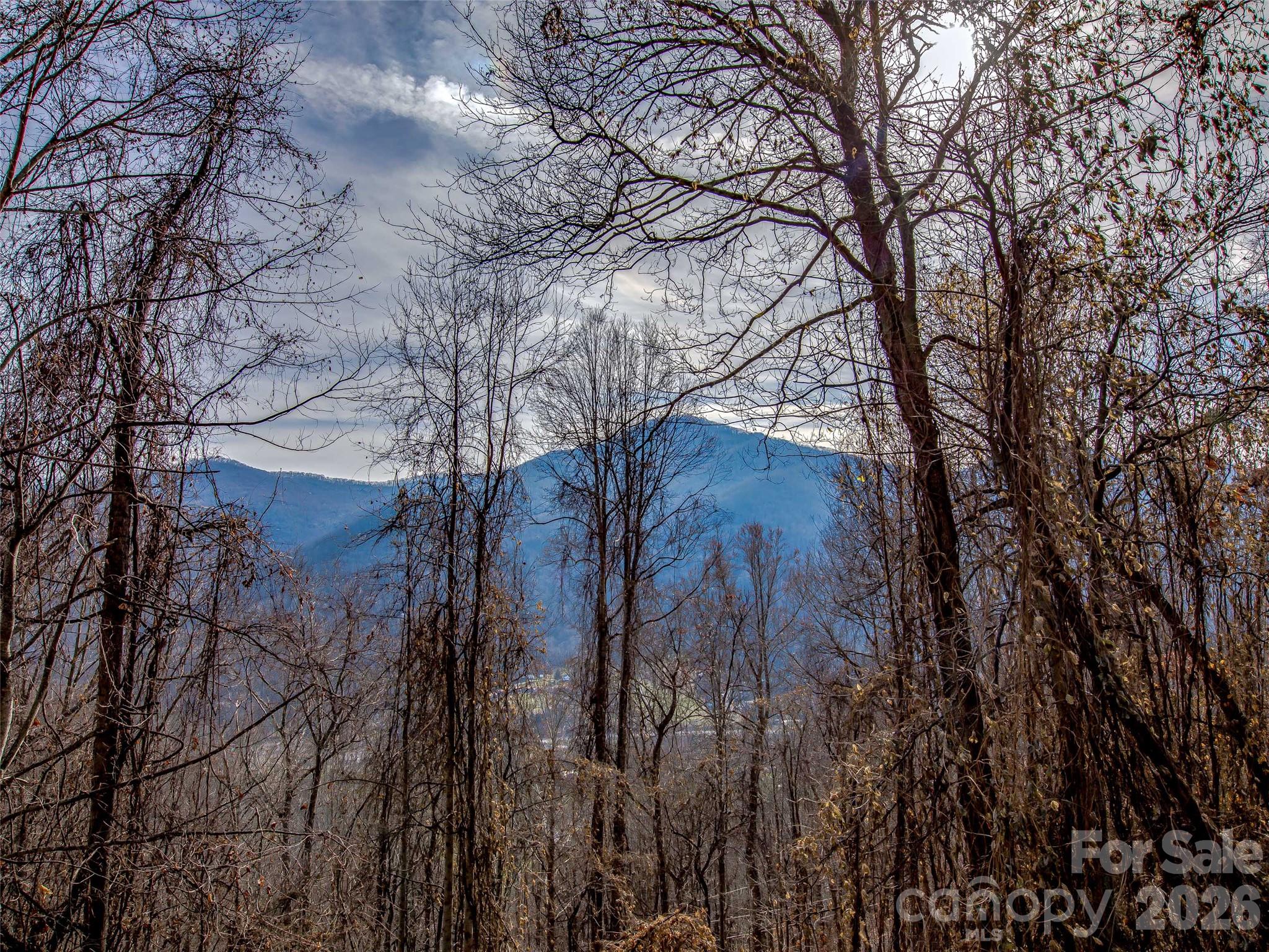 Lot at 39 Grandview Cliff Heights, Maggie Valley, photo 2 of 9