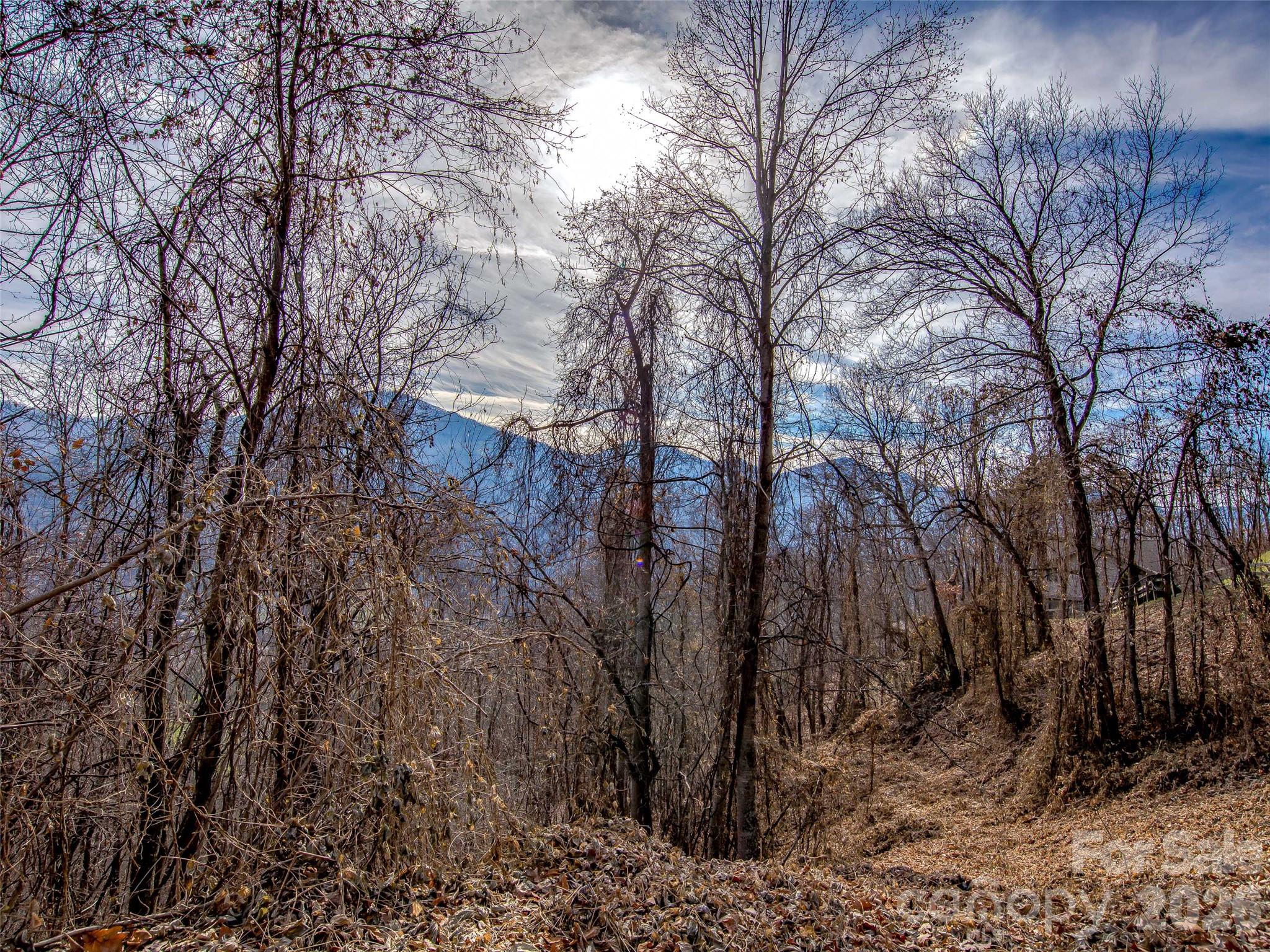 Lot at 39 Grandview Cliff Heights, Maggie Valley, photo 8 of 9