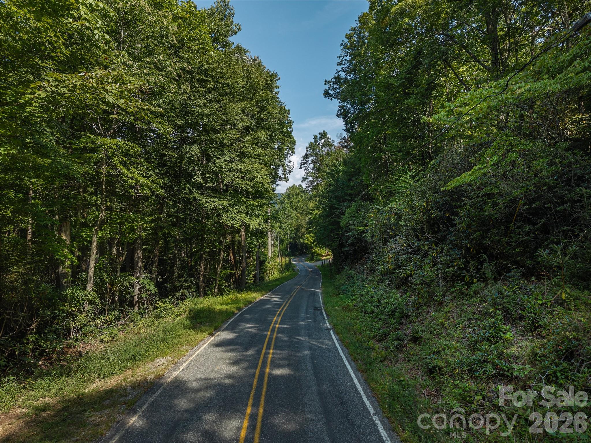 Acreage at 99999 Saw Branch Road, Candler, photo 2 of 37
