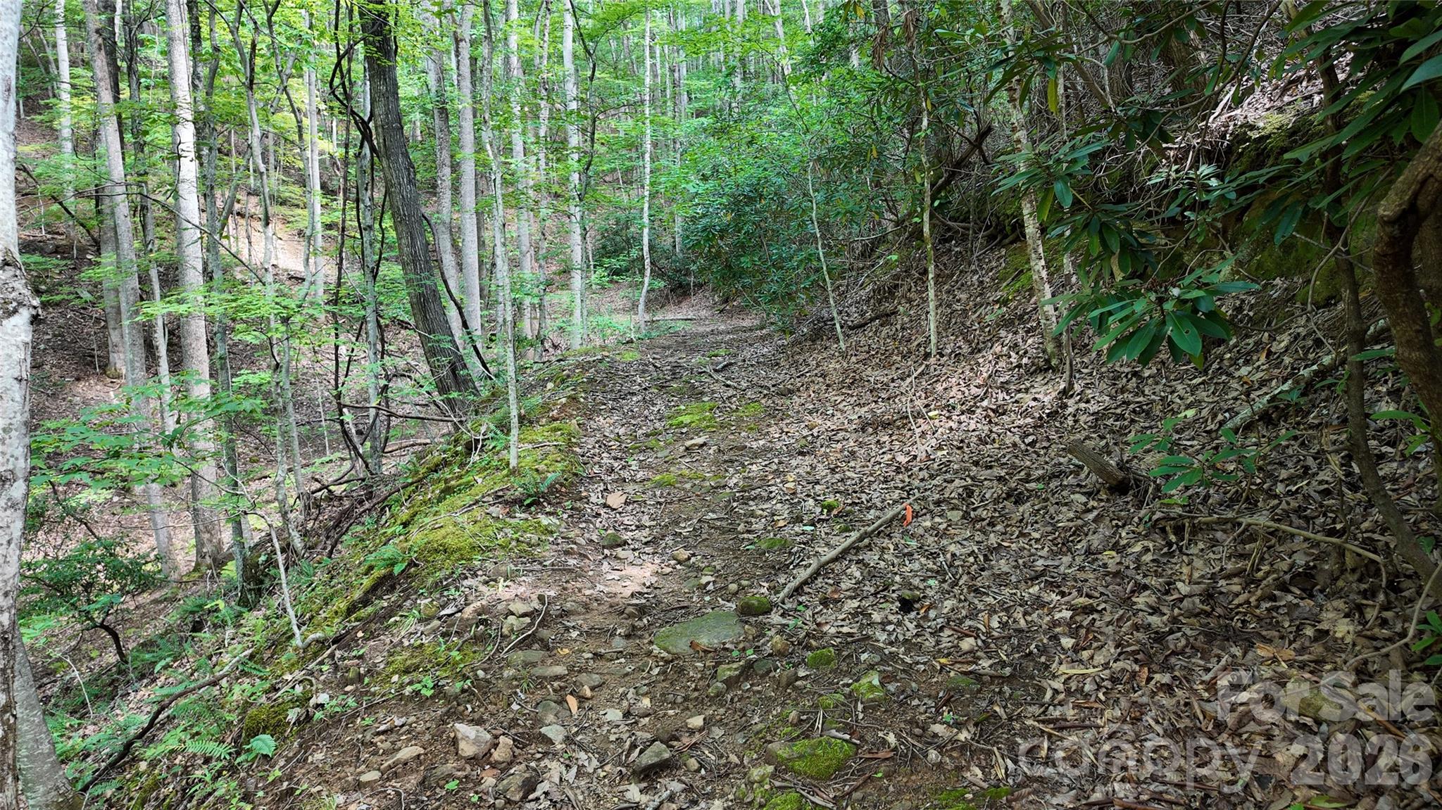 Acreage at 99999 Saw Branch Road, Candler, photo 5 of 37