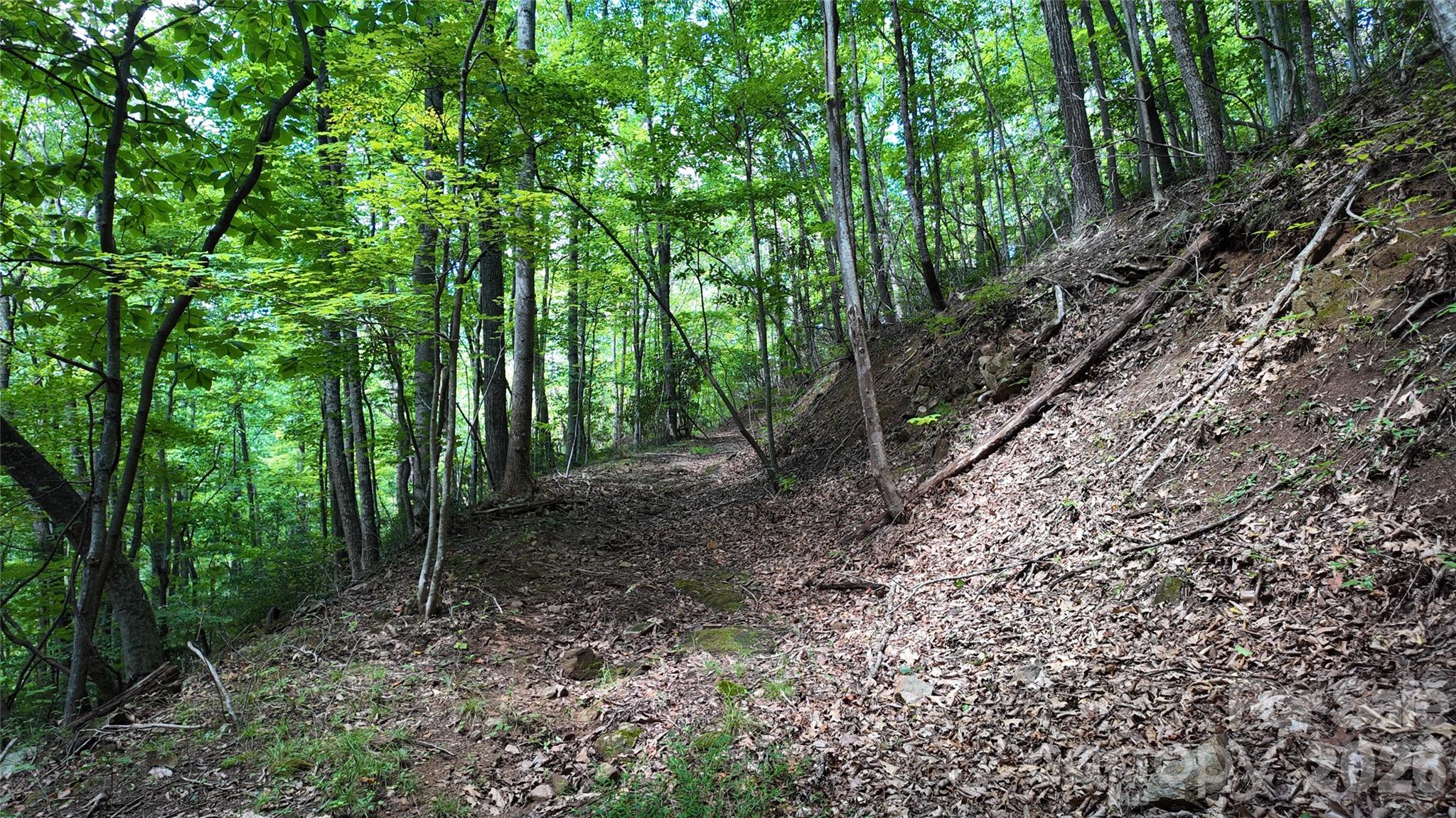 Acreage at 99999 Saw Branch Road, Candler, photo 6 of 37