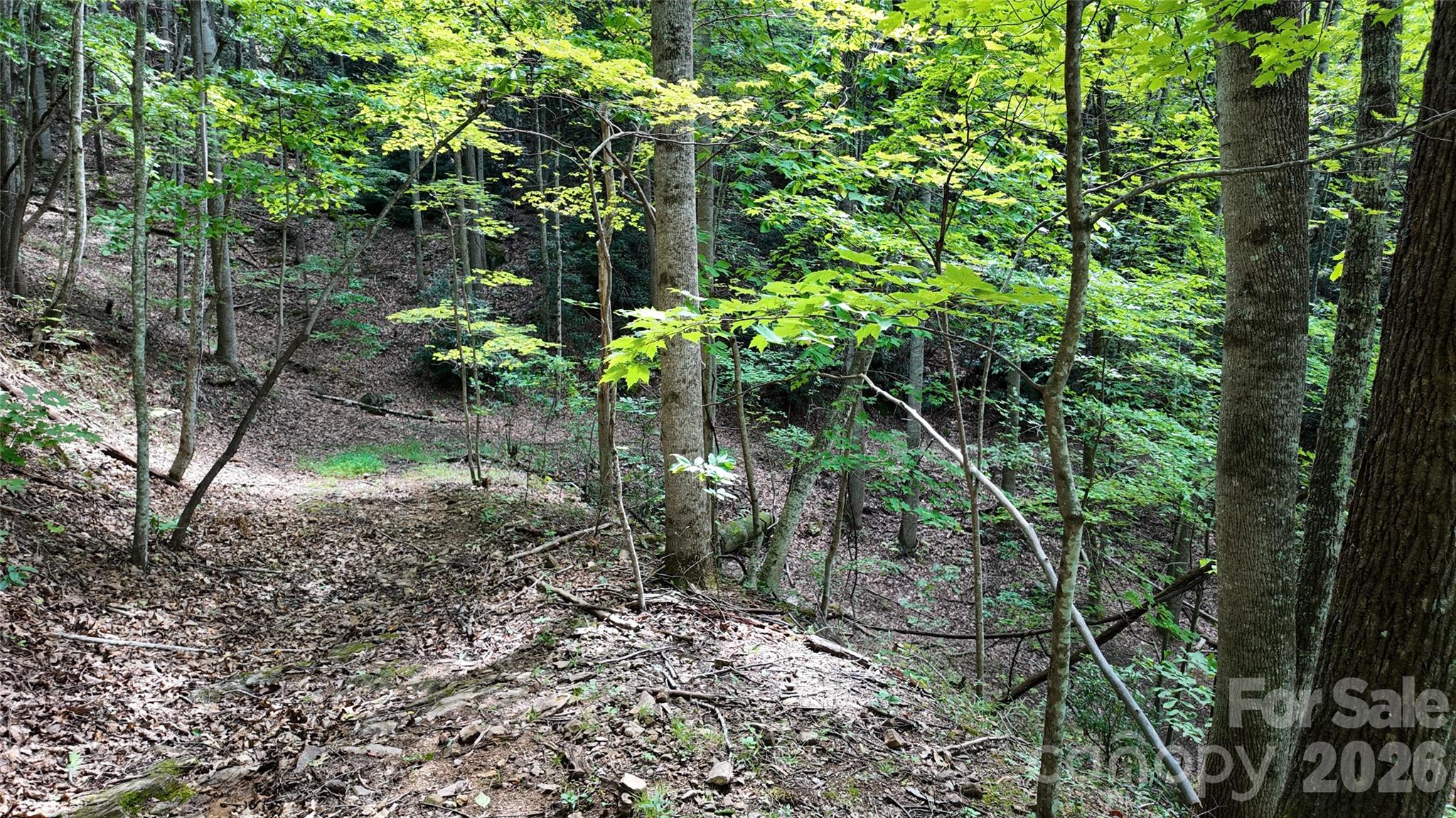 Acreage at 99999 Saw Branch Road, Candler, photo 7 of 37