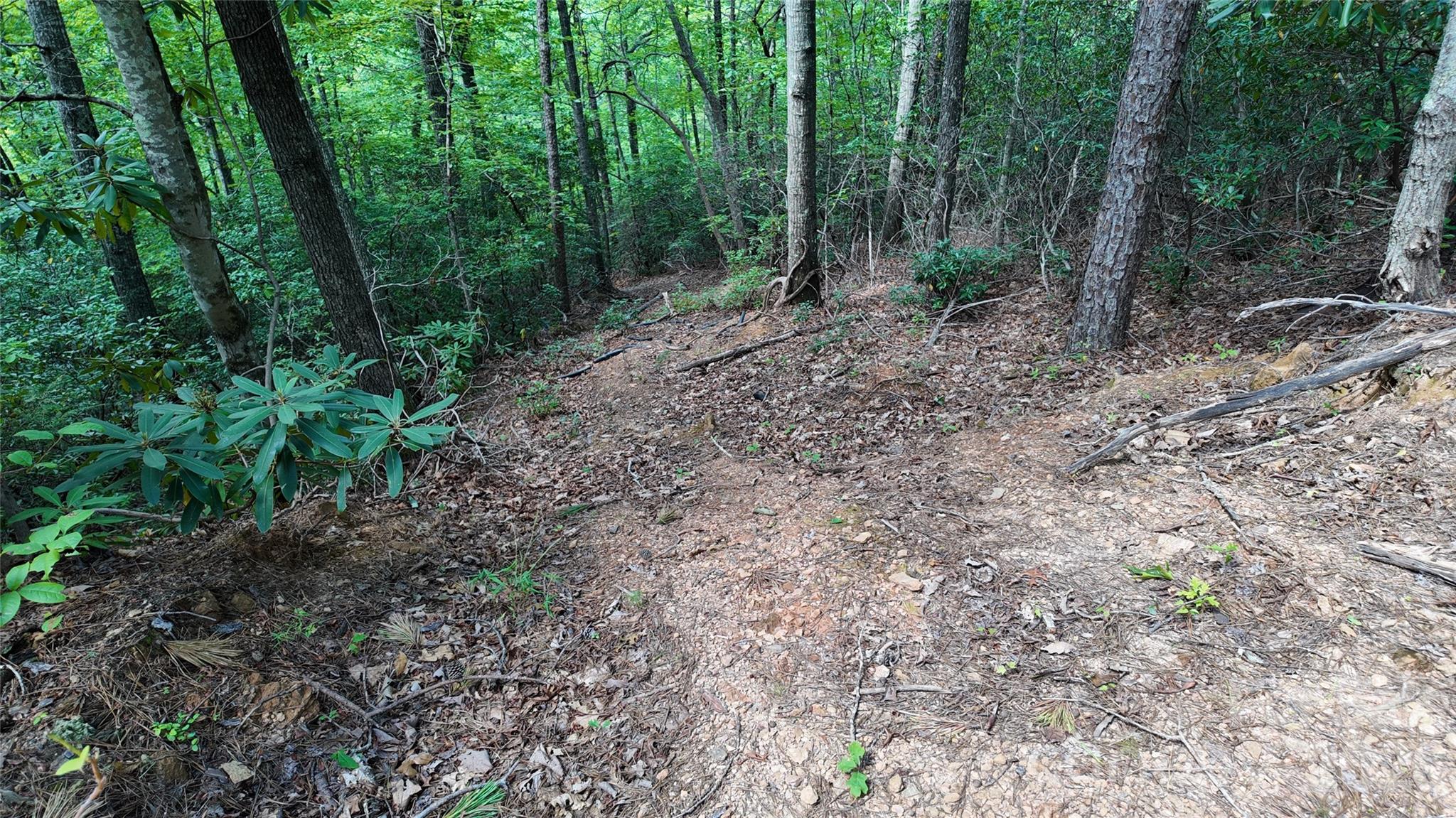 Acreage at 99999 Saw Branch Road, Candler, photo 8 of 37