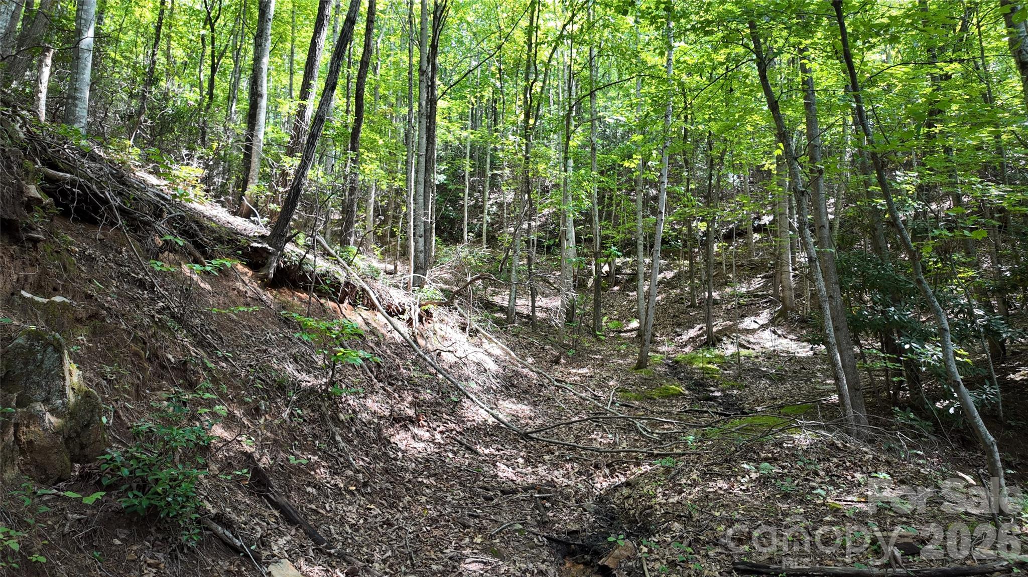 Acreage at 99999 Saw Branch Road, Candler, photo 9 of 37