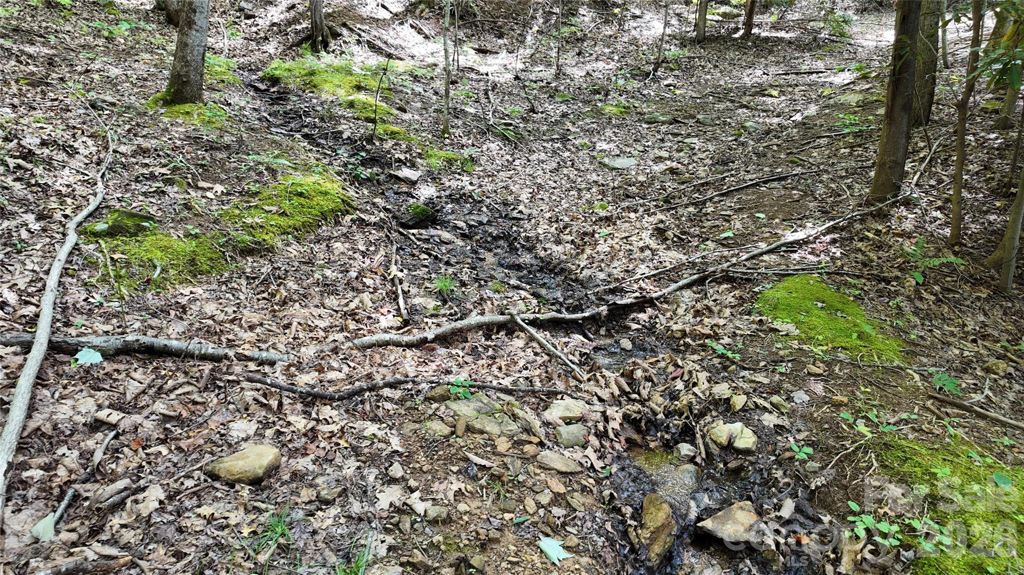 Acreage at 99999 Saw Branch Road, Candler, photo 10 of 37