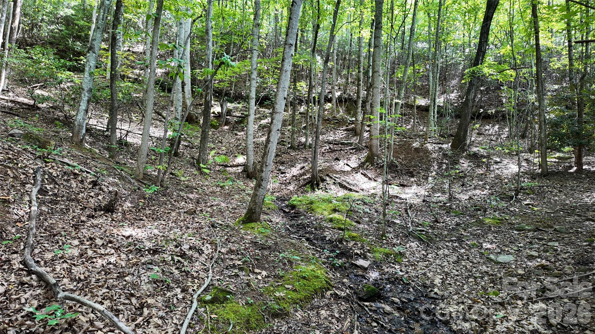 Acreage at 99999 Saw Branch Road, Candler, photo 11 of 37
