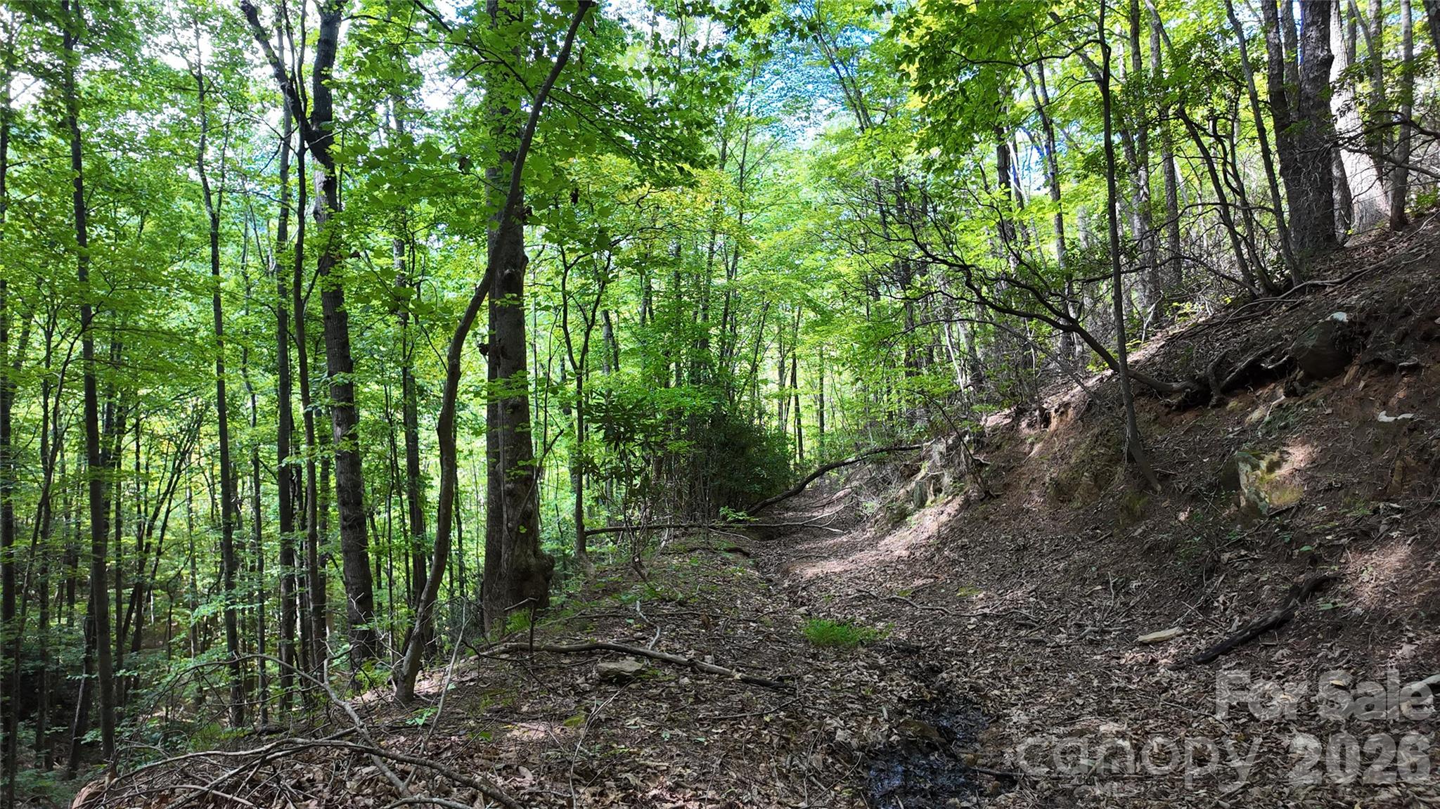 Acreage at 99999 Saw Branch Road, Candler, photo 13 of 37