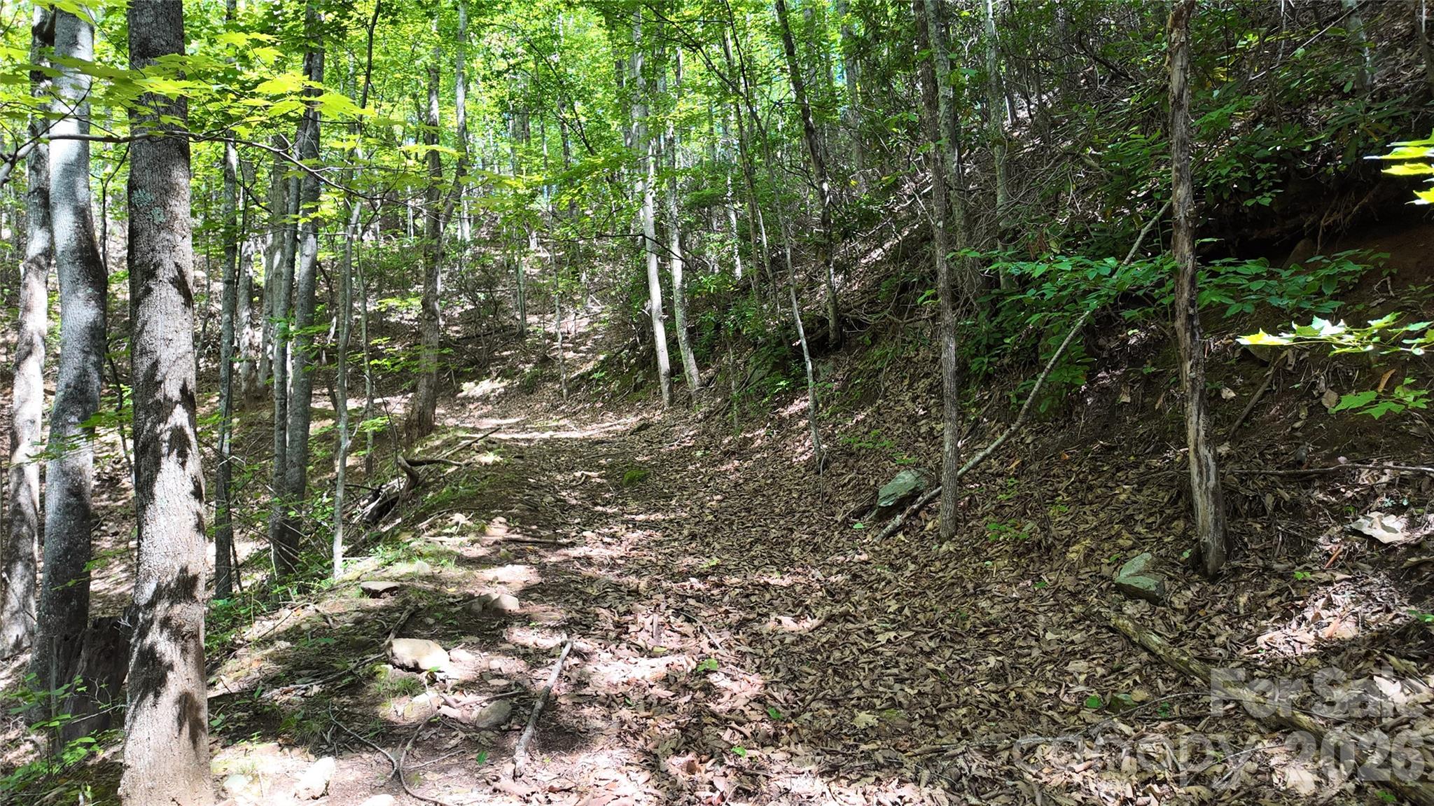 Acreage at 99999 Saw Branch Road, Candler, photo 14 of 37
