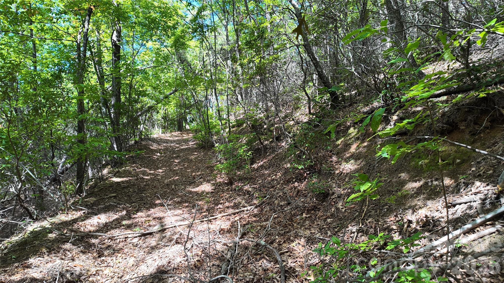 Acreage at 99999 Saw Branch Road, Candler, photo 15 of 37