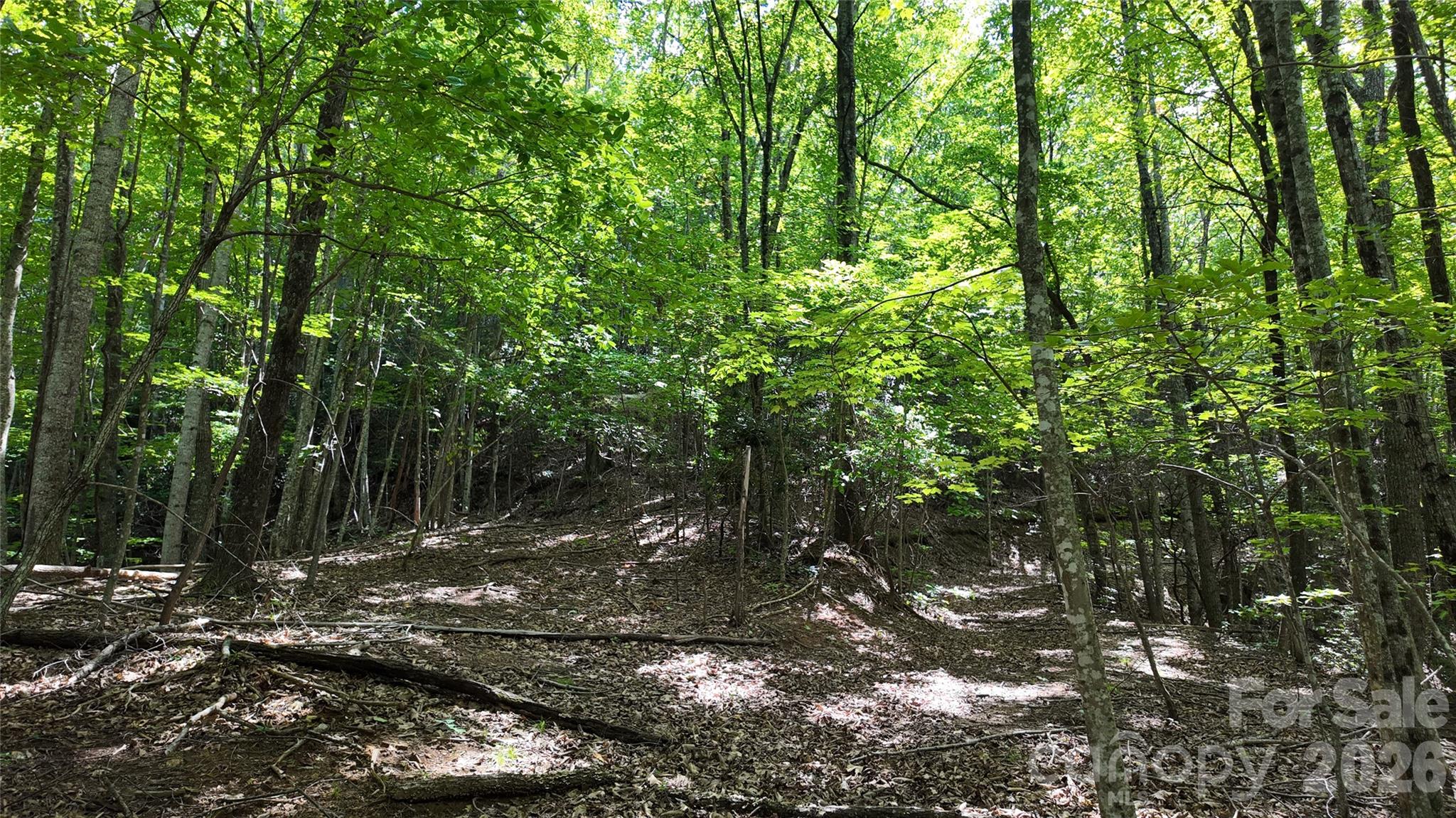 Acreage at 99999 Saw Branch Road, Candler, photo 16 of 37