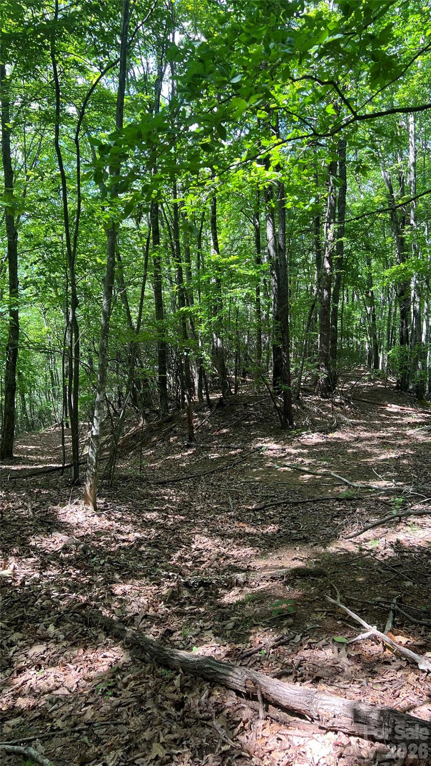 Acreage at 99999 Saw Branch Road, Candler, photo 17 of 37
