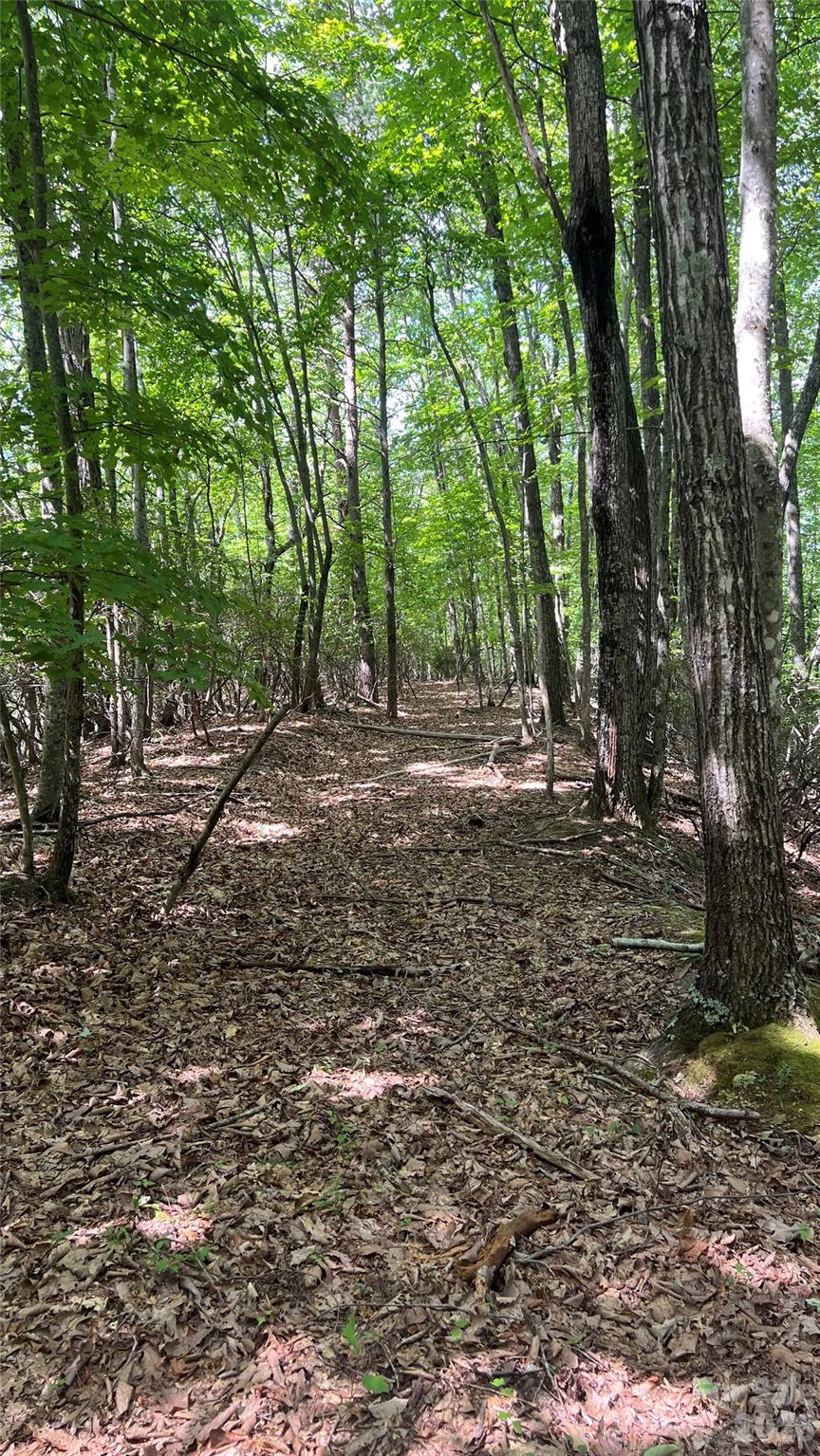Acreage at 99999 Saw Branch Road, Candler, photo 18 of 37
