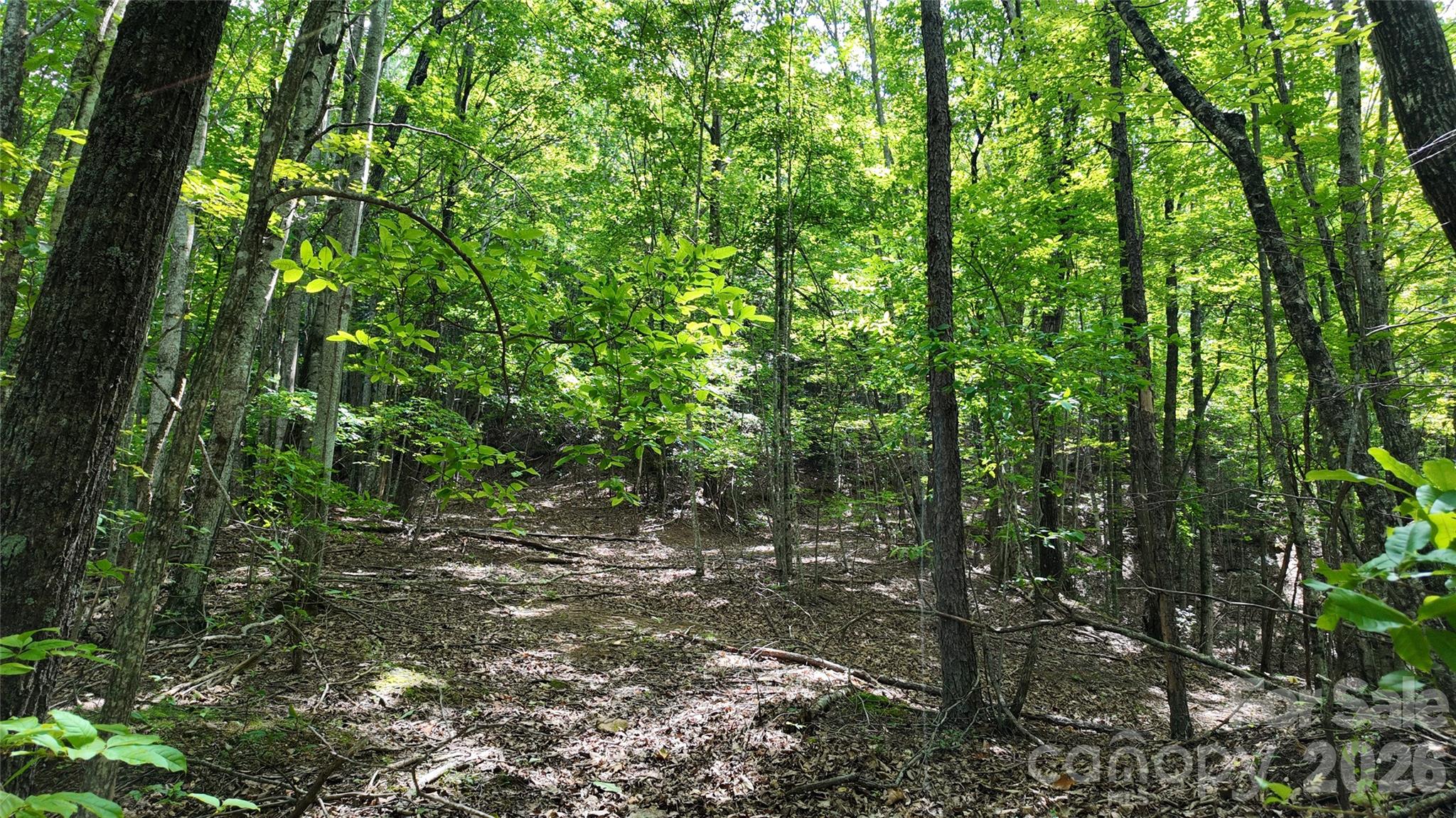 Acreage at 99999 Saw Branch Road, Candler, photo 19 of 37