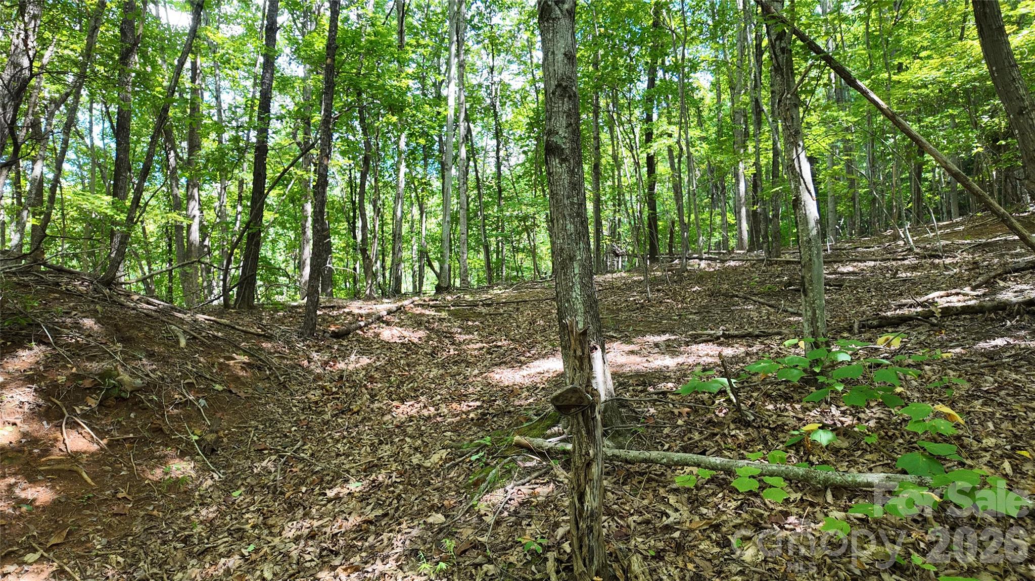 Acreage at 99999 Saw Branch Road, Candler, photo 20 of 37