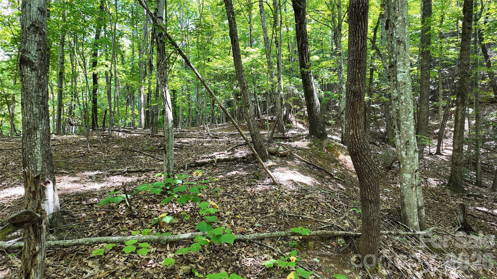 Acreage at 99999 Saw Branch Road, Candler, photo 21 of 37