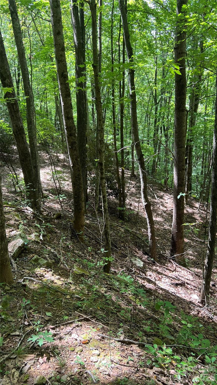 Acreage at 99999 Saw Branch Road, Candler, photo 22 of 37
