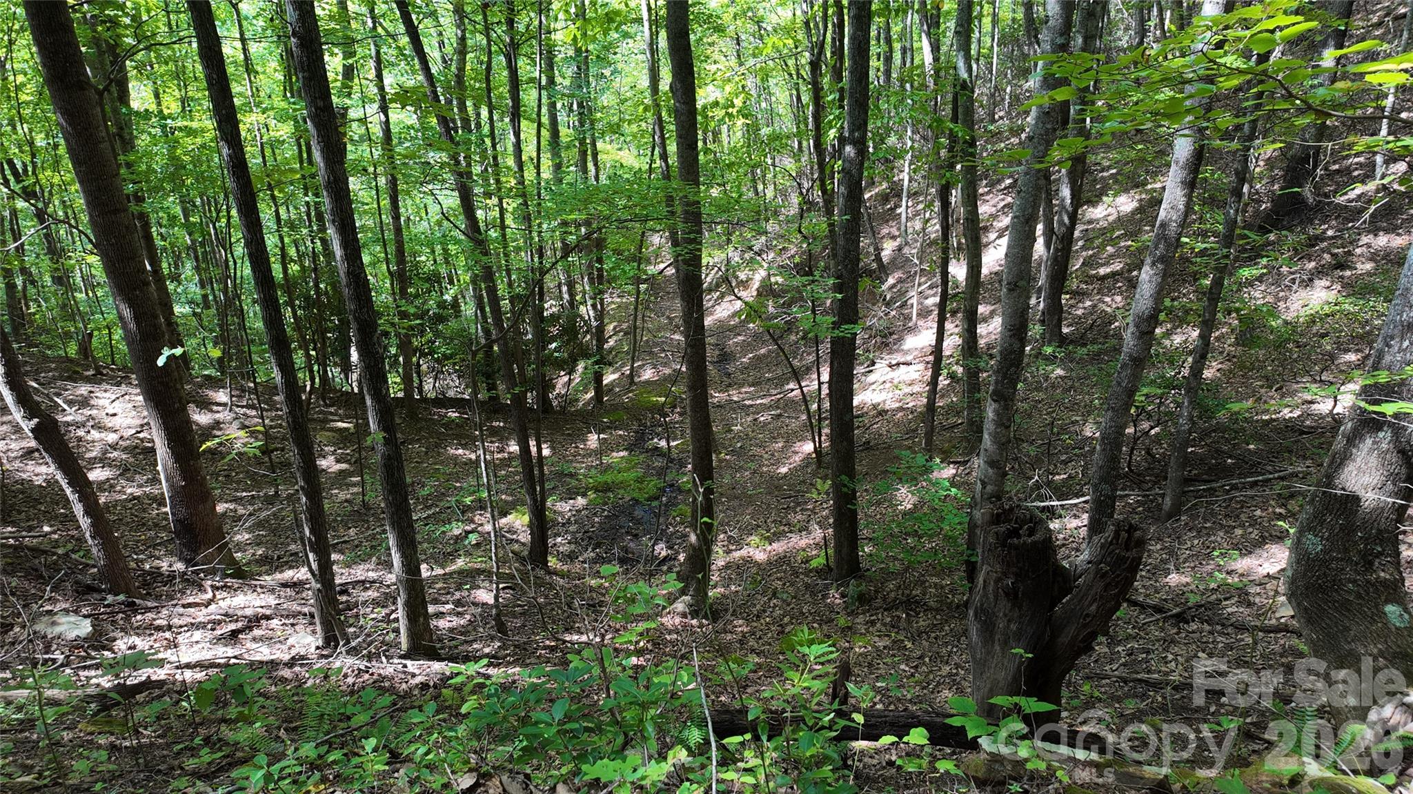Acreage at 99999 Saw Branch Road, Candler, photo 23 of 37