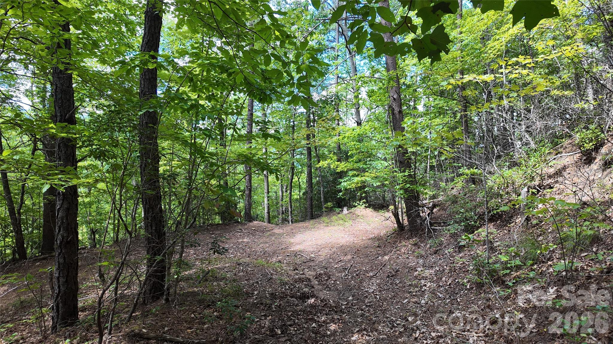 Acreage at 99999 Saw Branch Road, Candler, photo 24 of 37